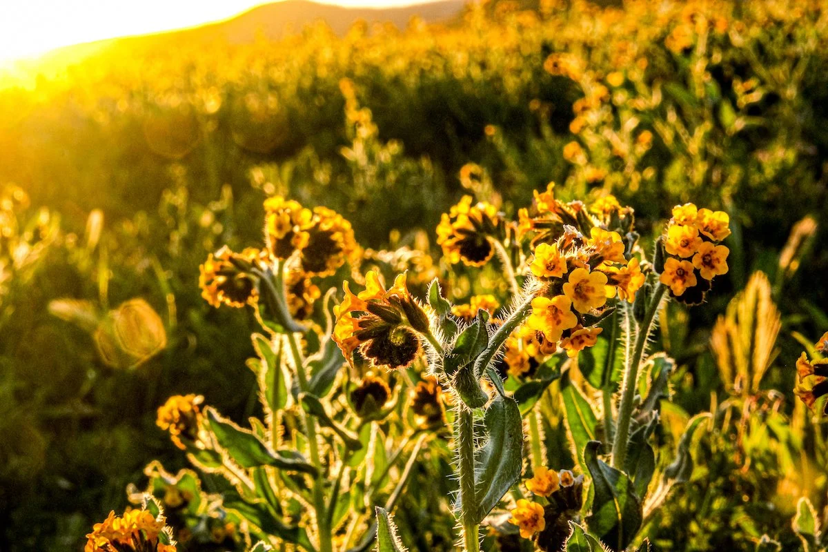 2023-04-02 20.07.34-2 2.jpg