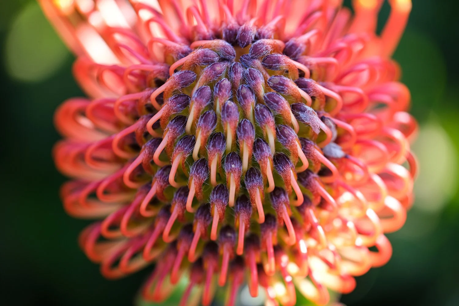 2023-03-05 18.02.23-2.jpg