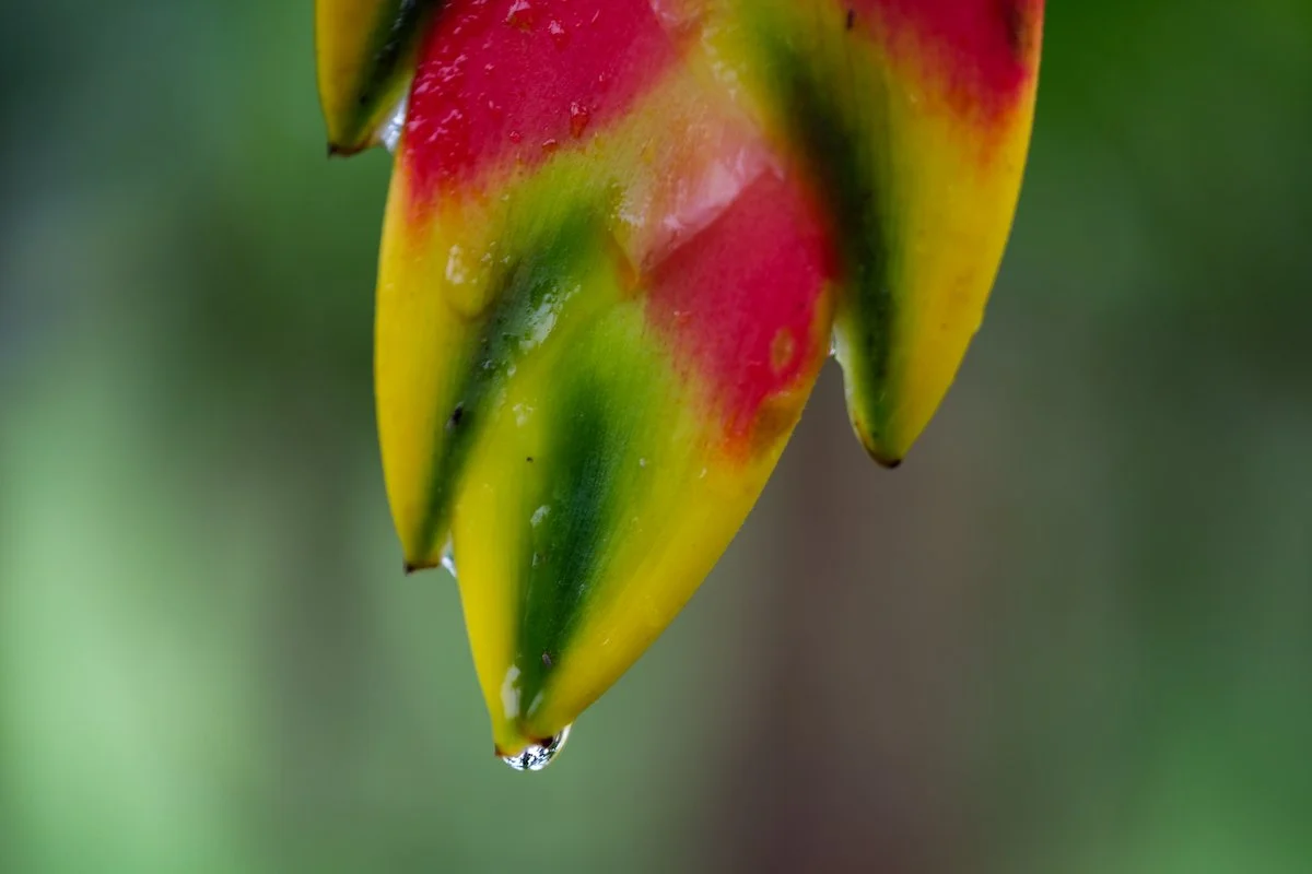 2023-12-14 09.05.09 2.jpg