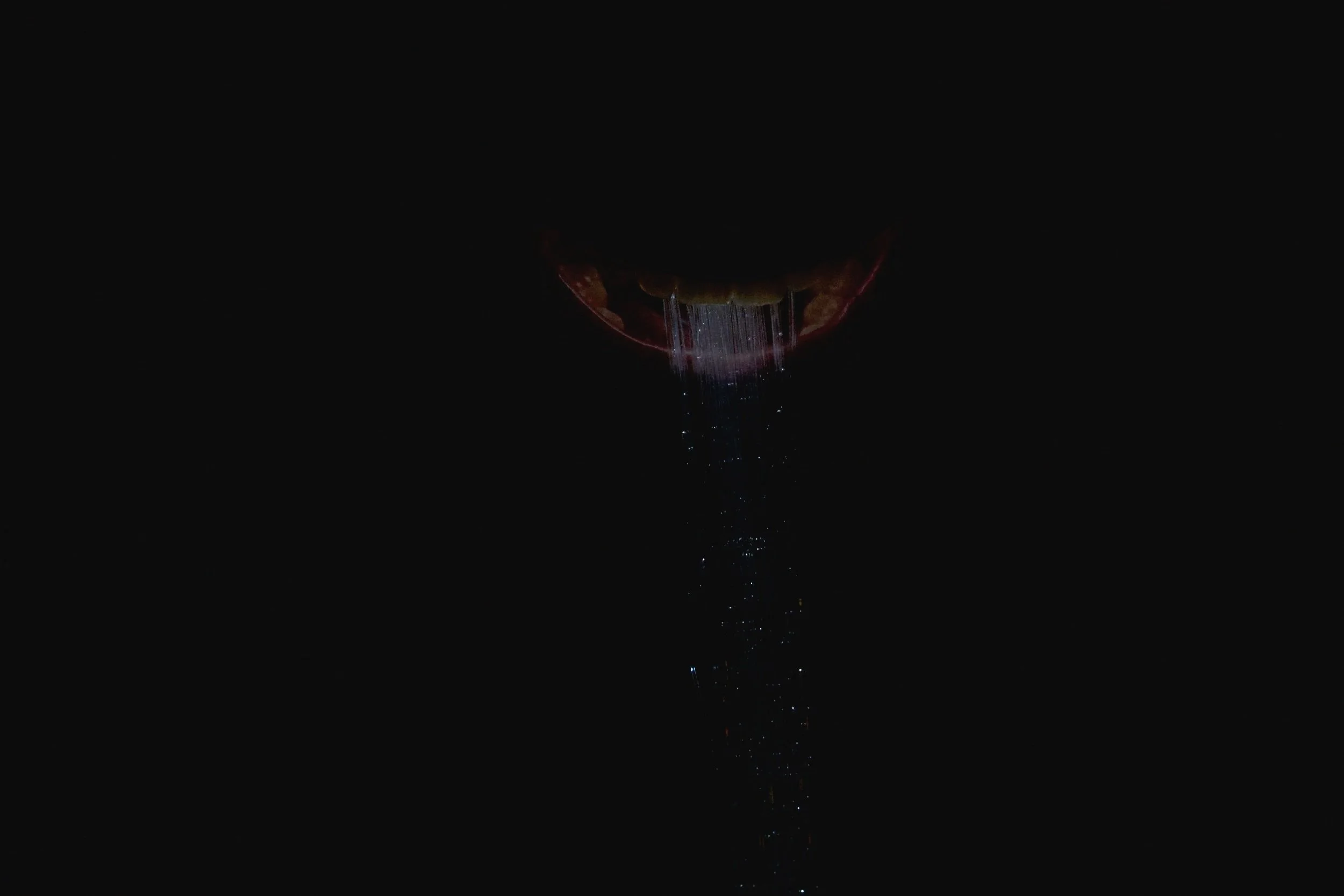 DSC05910.jpg