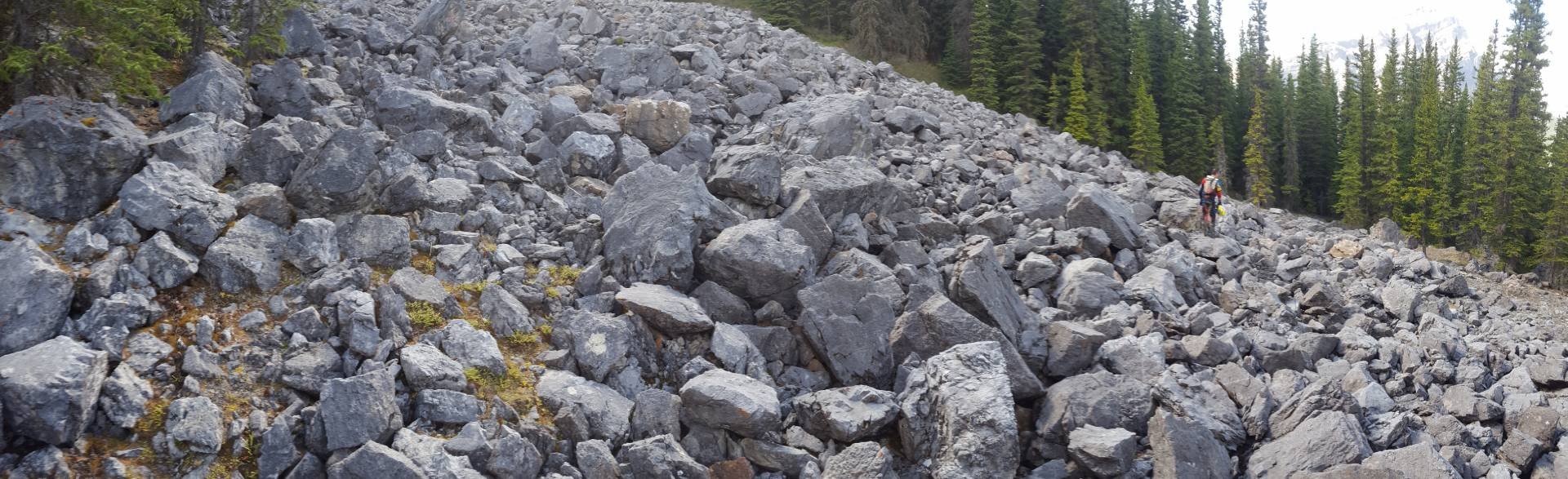 The Boulder Field