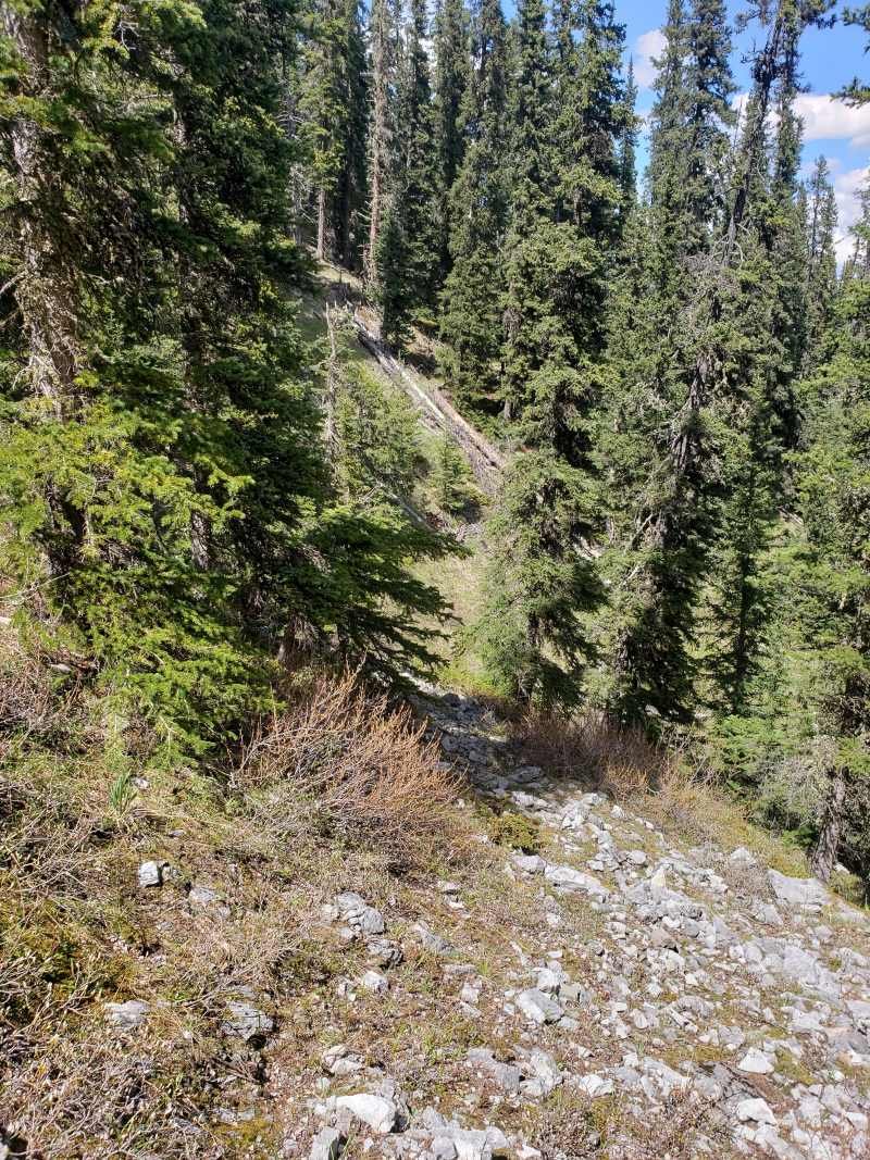 amazing Trails