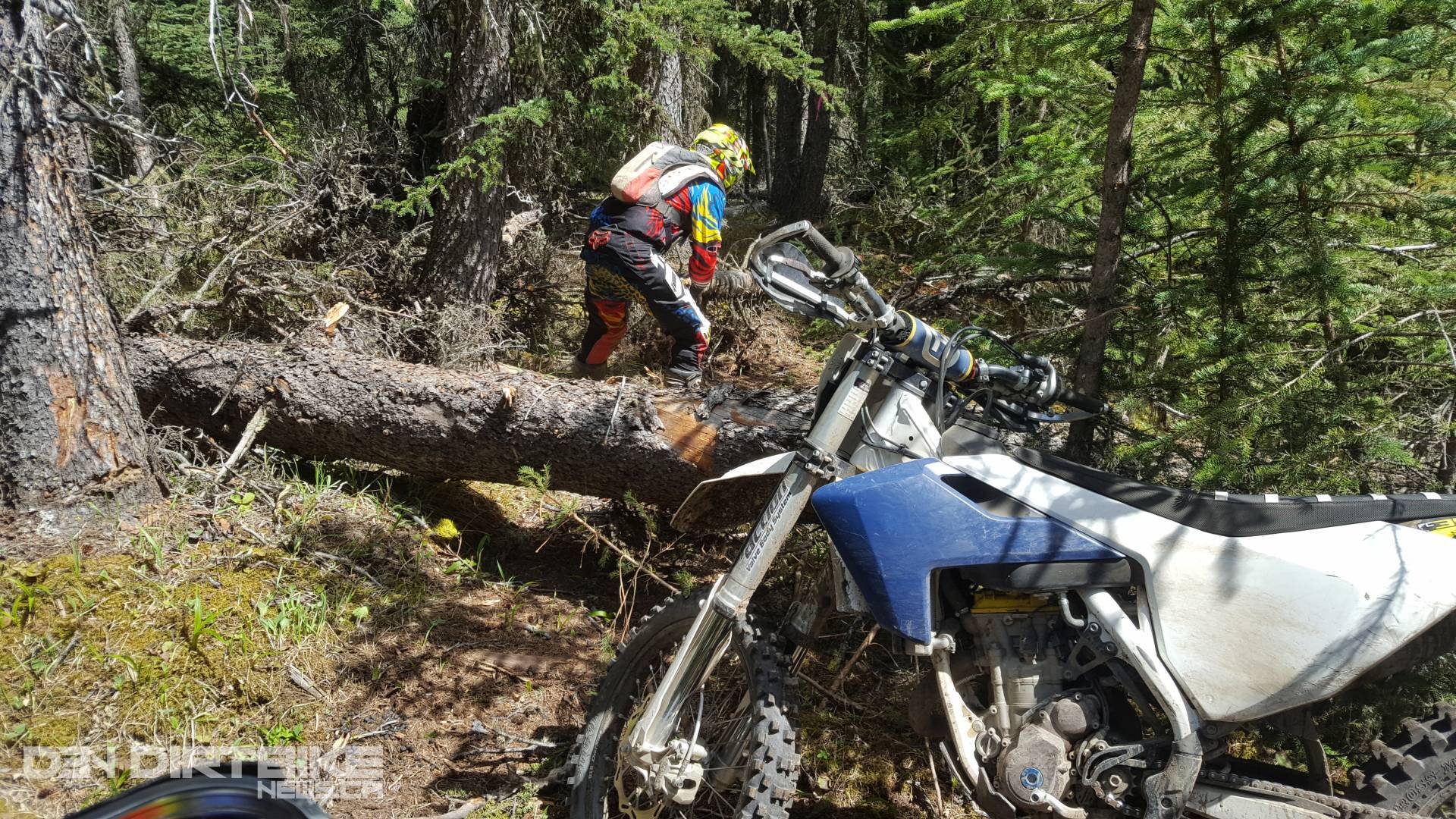 Trimming Trees for jumping