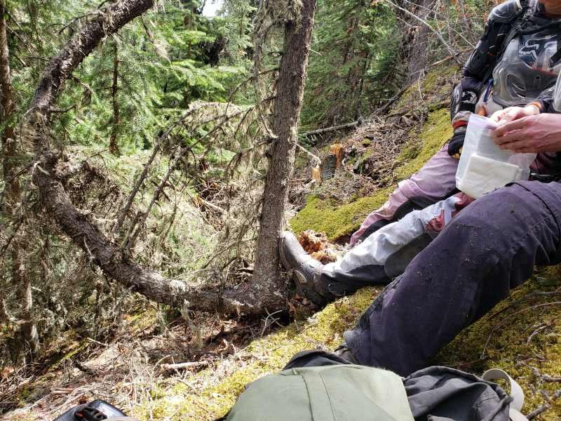 Trail Engineering is hard