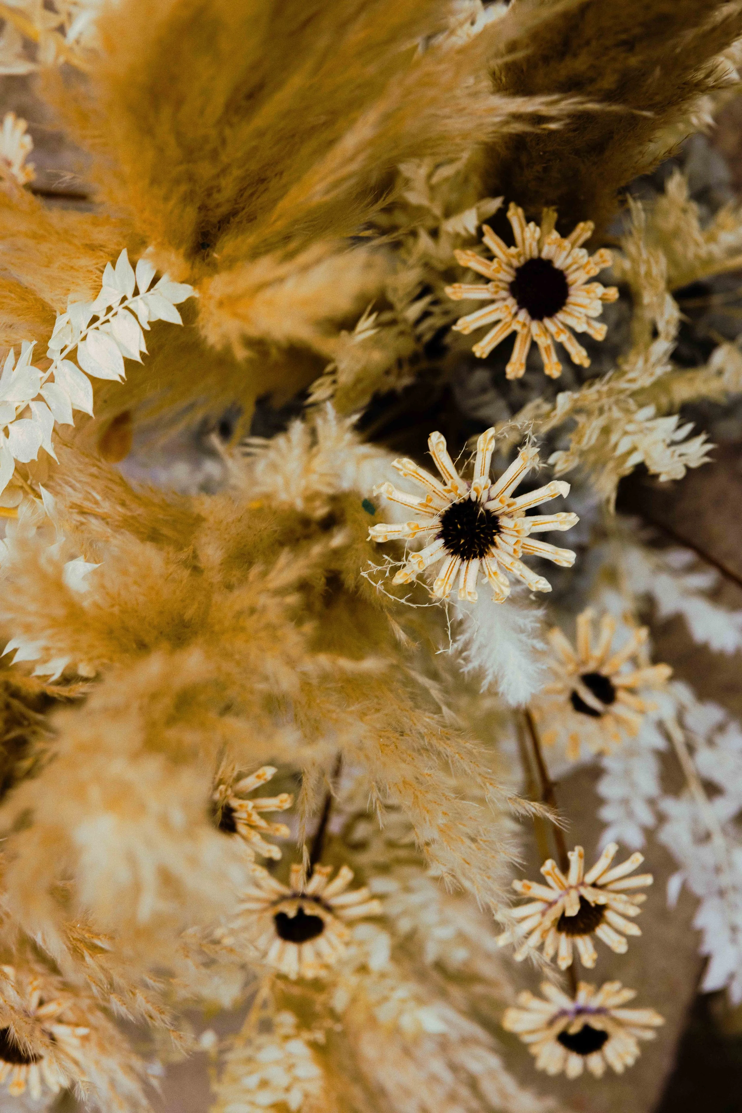 Jem Amanda Night Squarespace-31.jpg