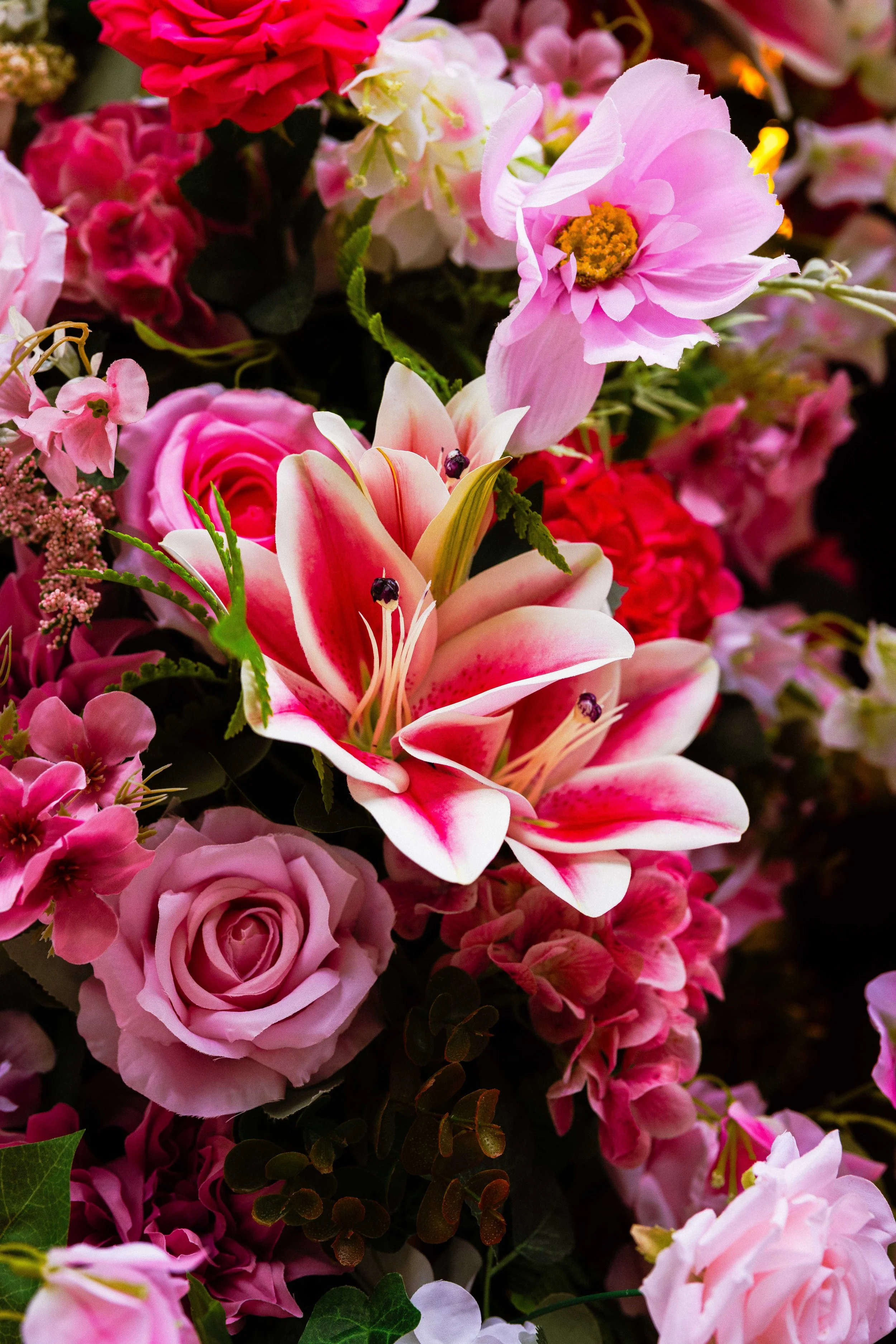 Jem Amanda Night Squarespace-35.jpg