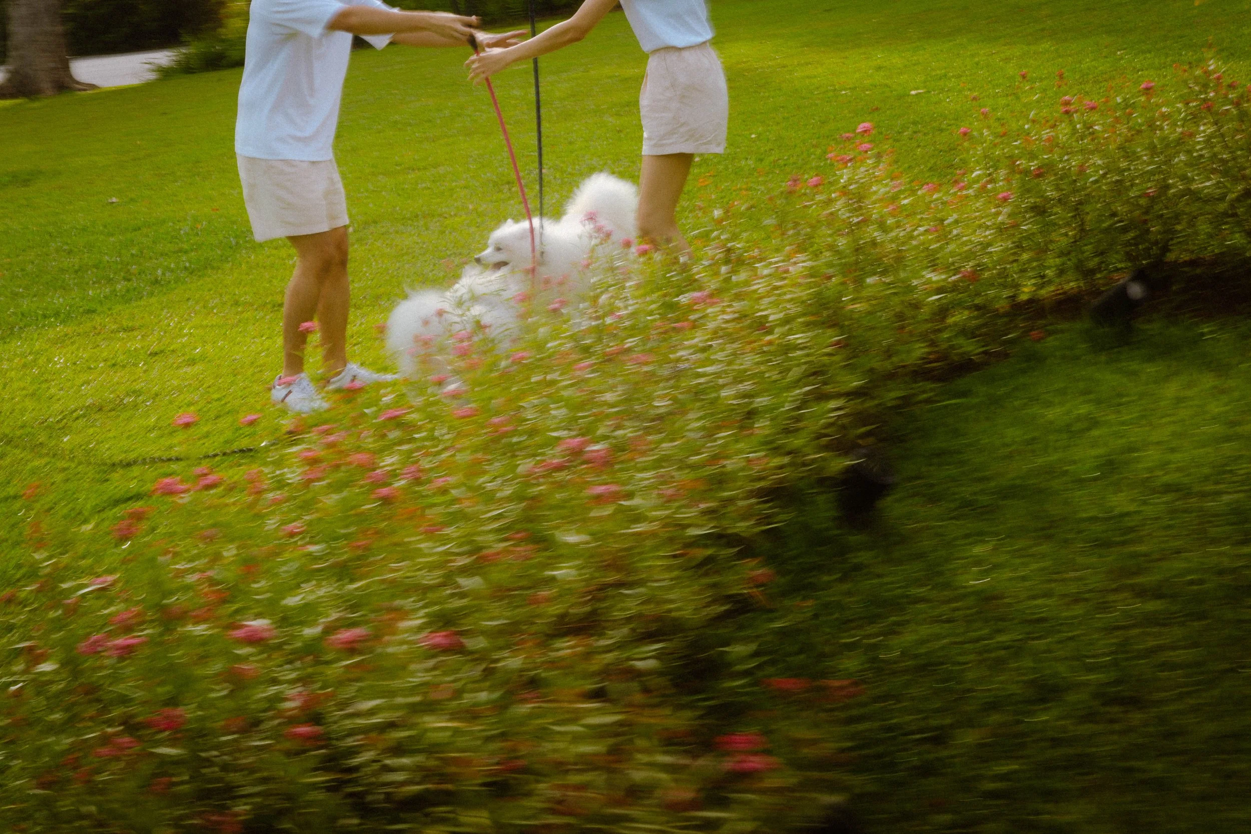 Liying & Choon Ann (Preview)-18.jpg