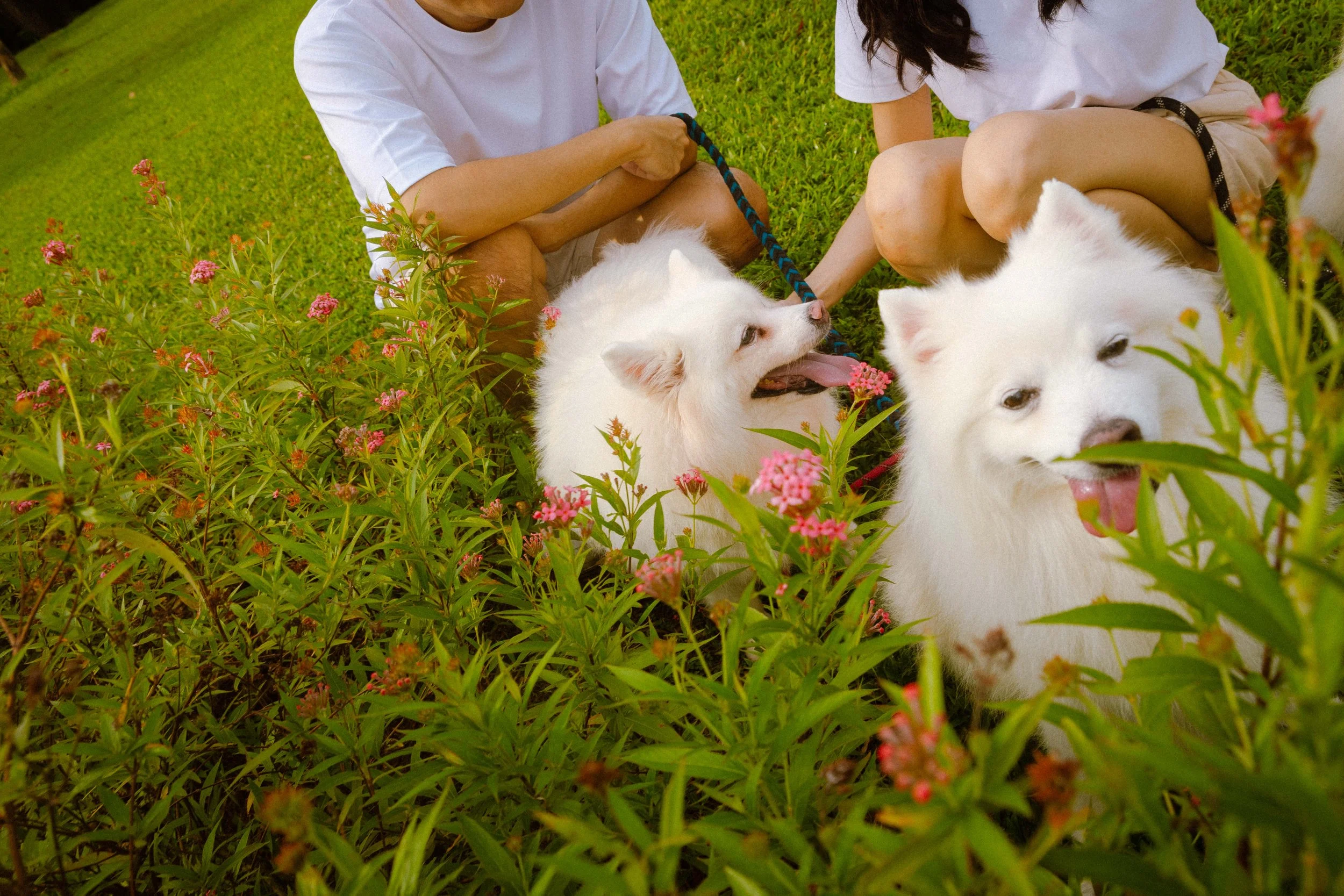 Liying & Choon Ann (Preview)-22.jpg