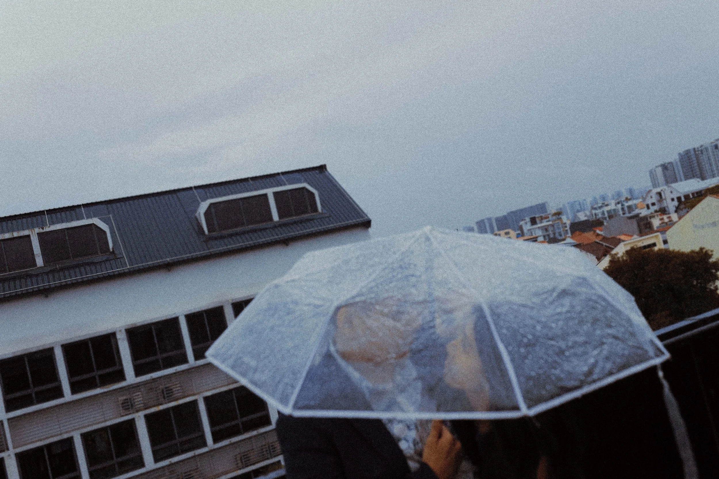 Brandon & Wen Li (website)-30.jpg