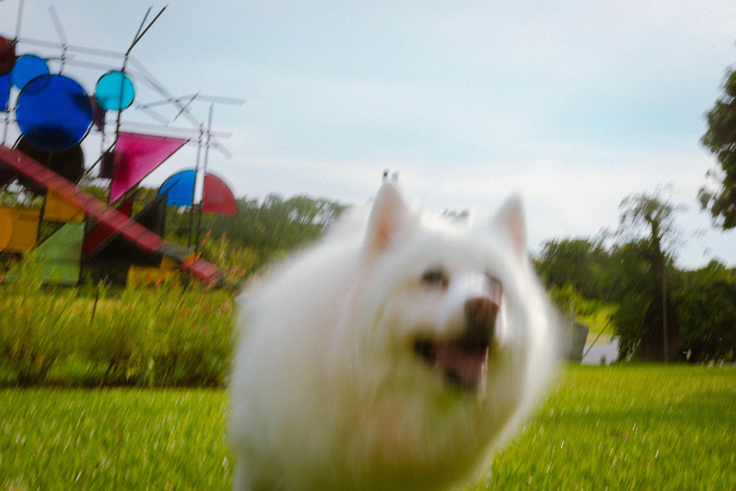 Liying & Choon Ann (Preview)-20.jpg