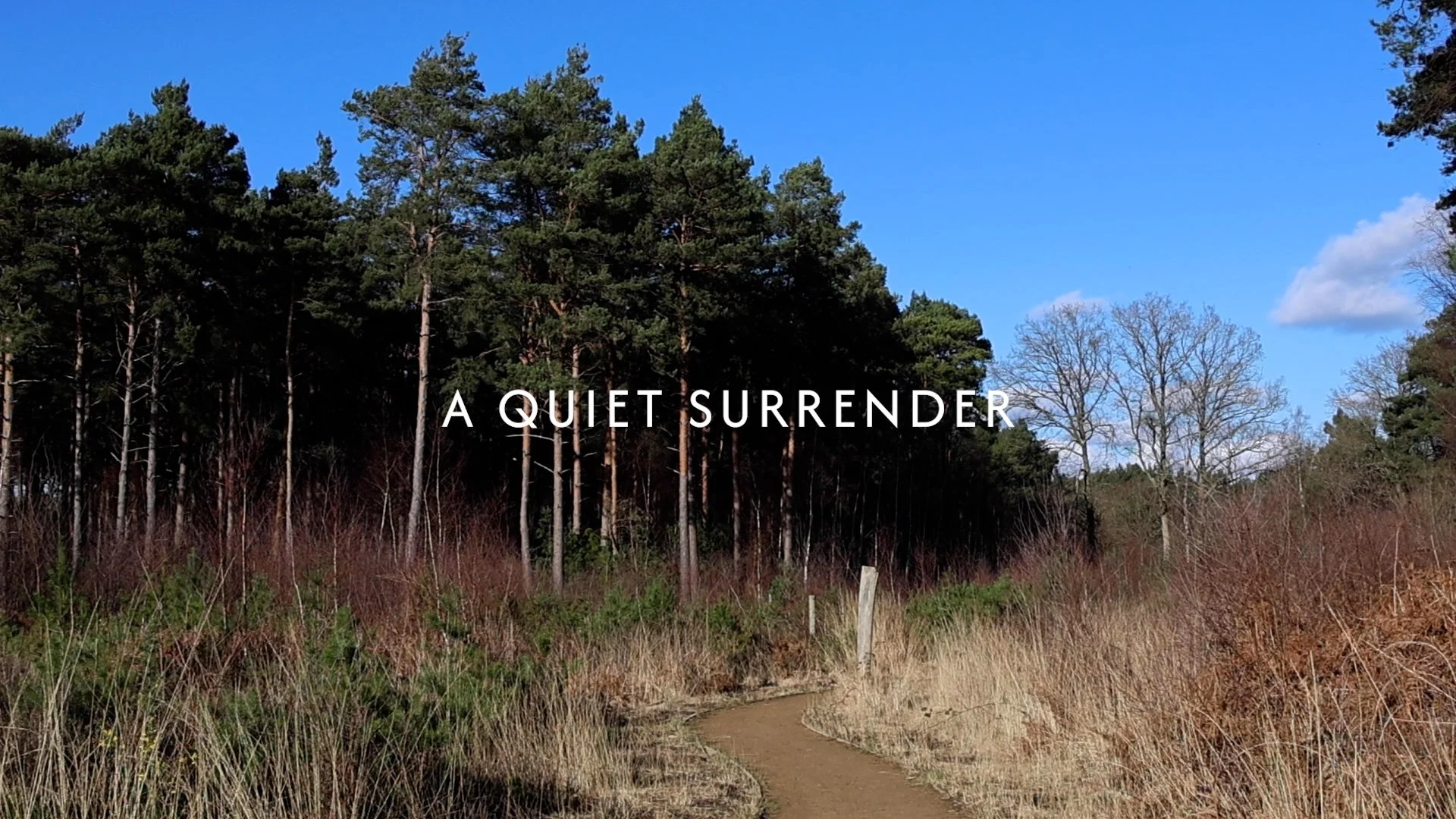 CAITLIN SARAH HESLOP  ·  ARTIST FILM