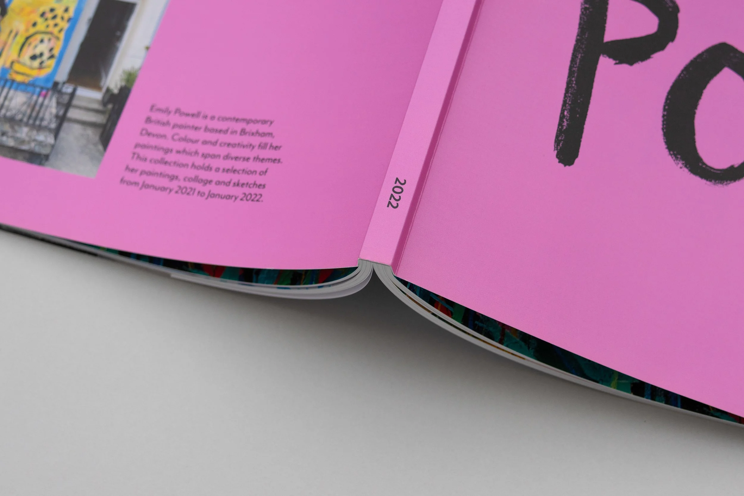 3K6A2196 compressed.jpg