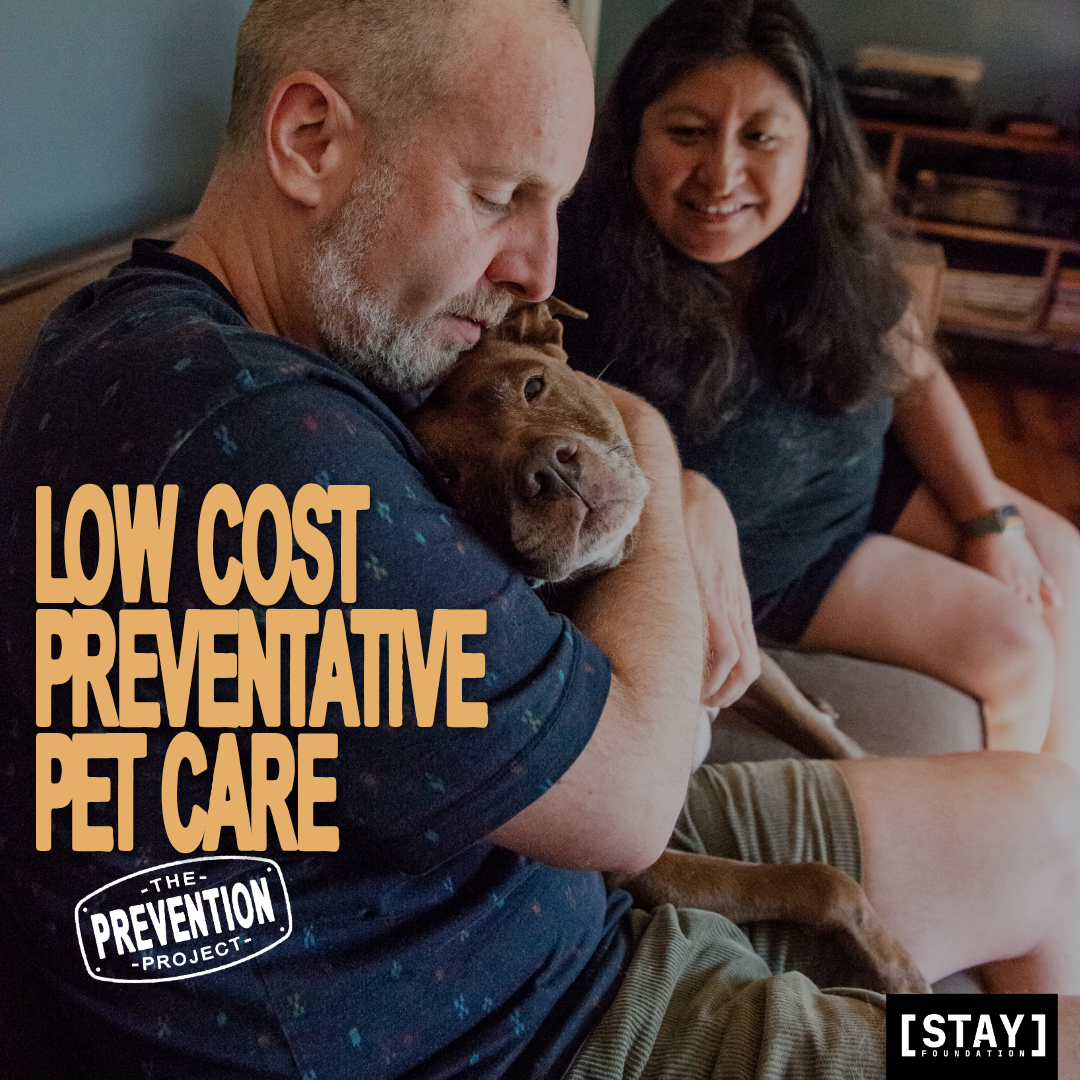 Low Cost Preventative Pet Care