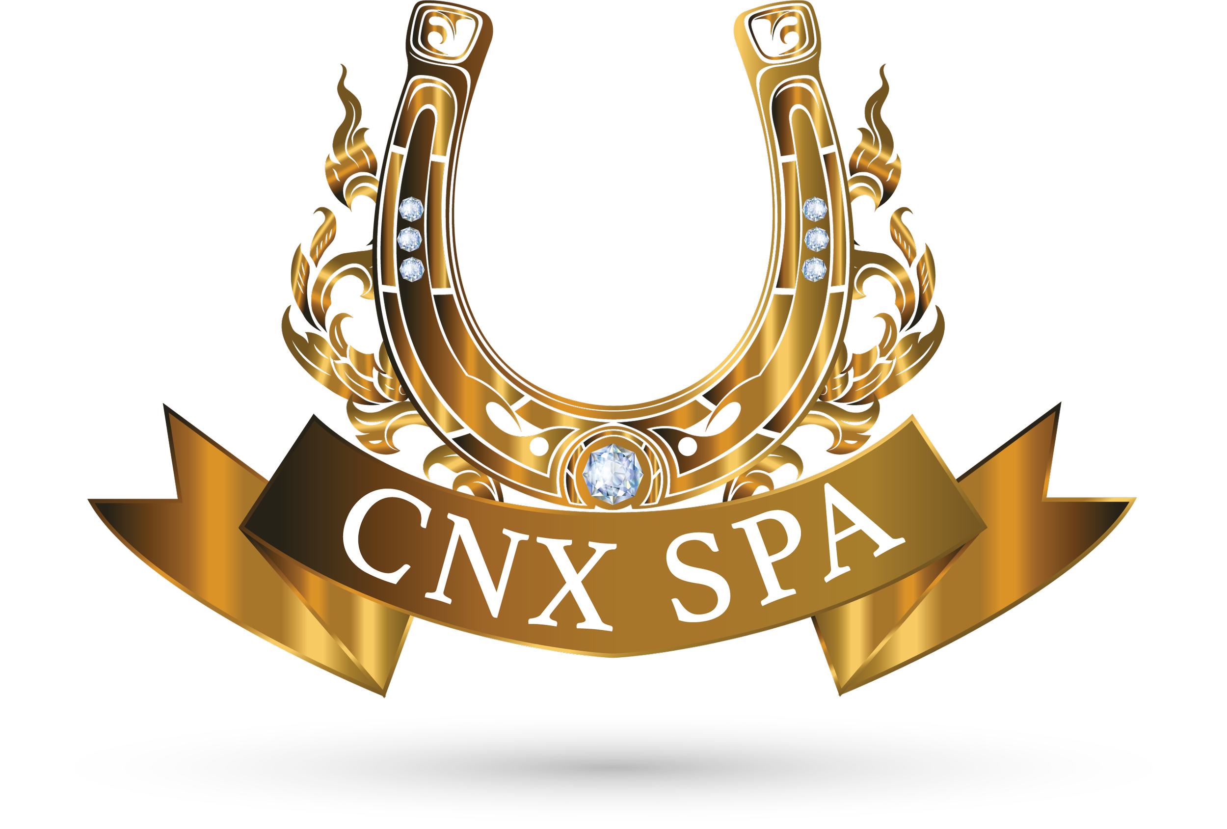 CNX SPA