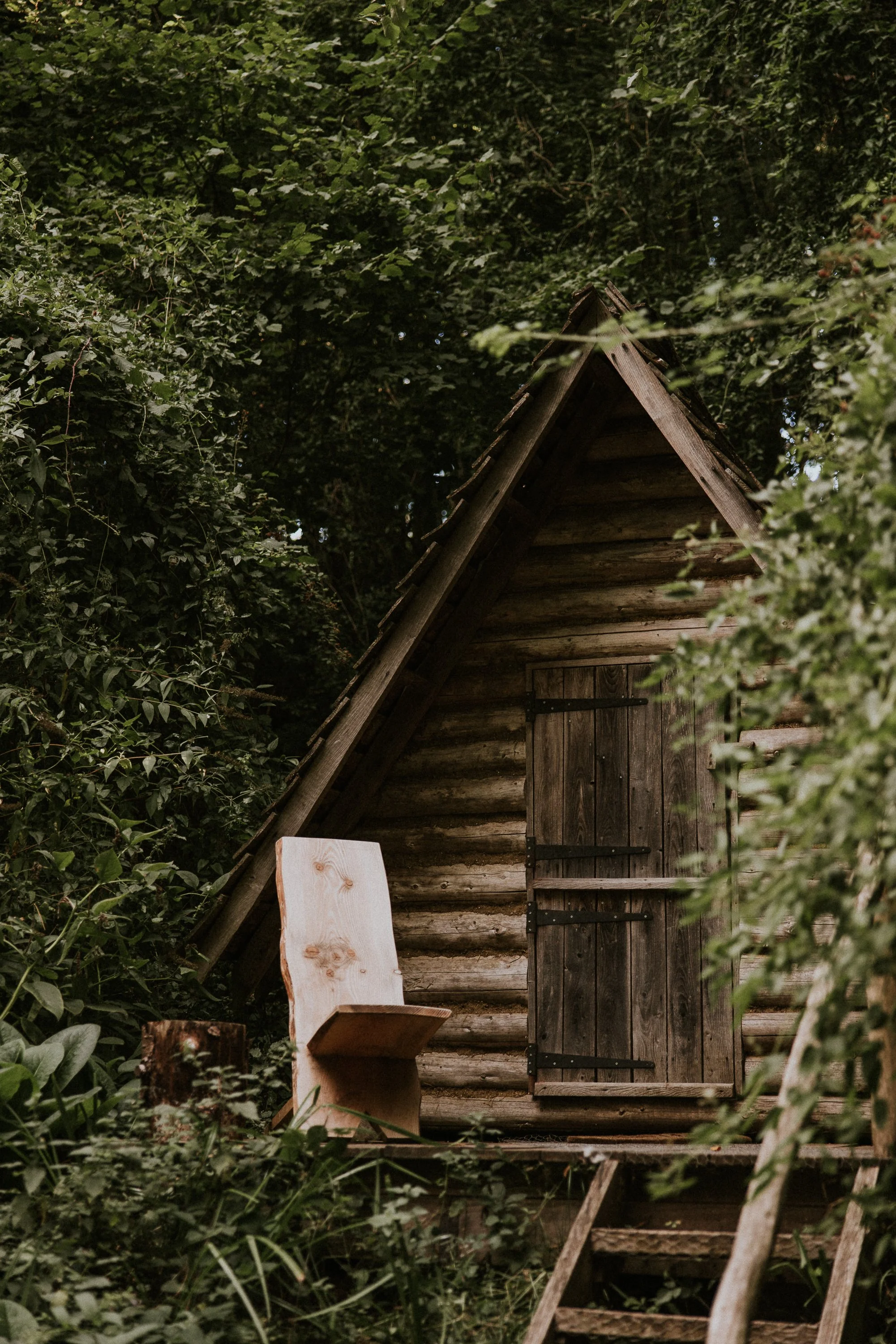 waney cabin 4.JPEG