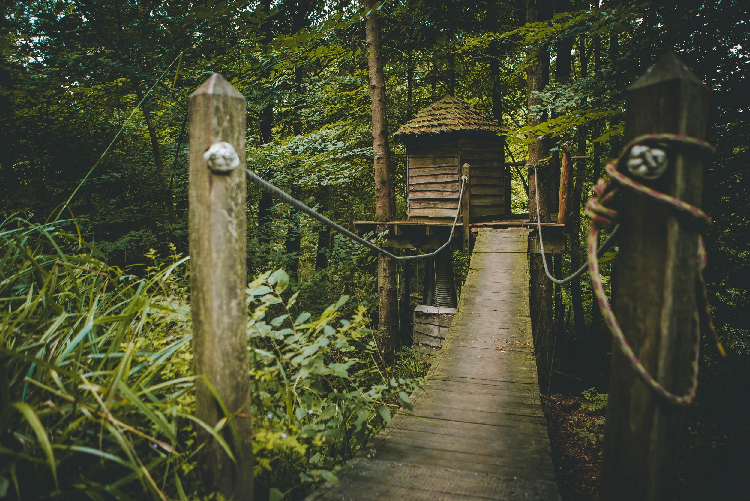 loo shack (2).jpg
