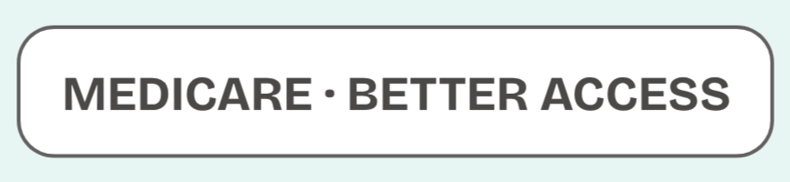 Medicare logo with the phrase 'Better Access'