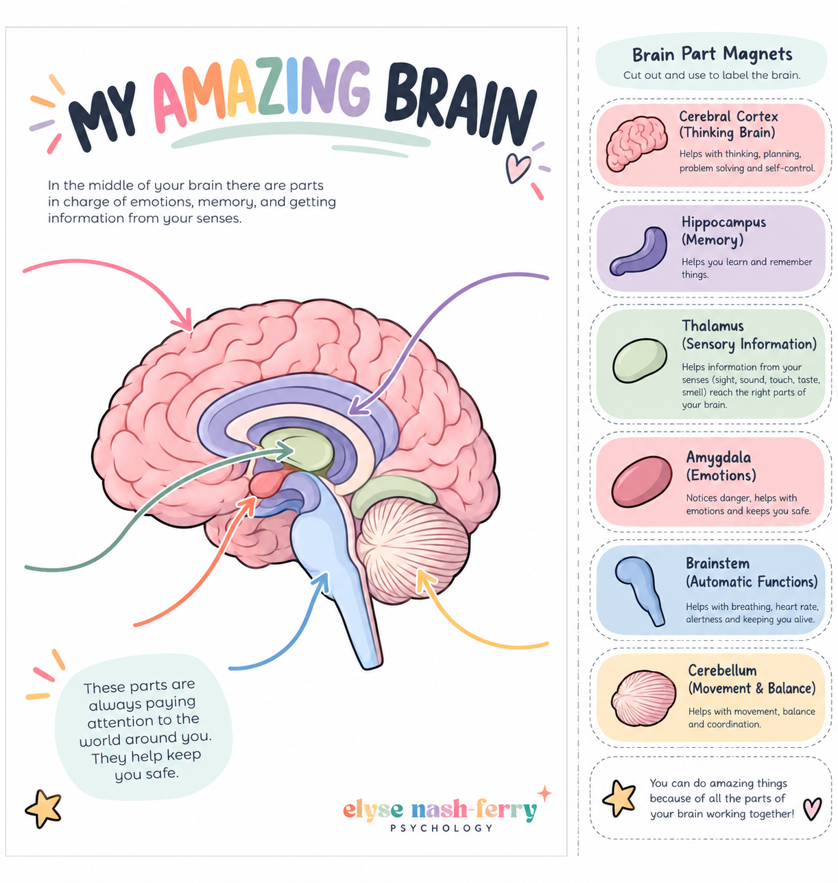 My Amazing Brain: Child Assessment Feedback