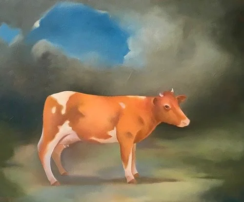 alderney cow.jpg