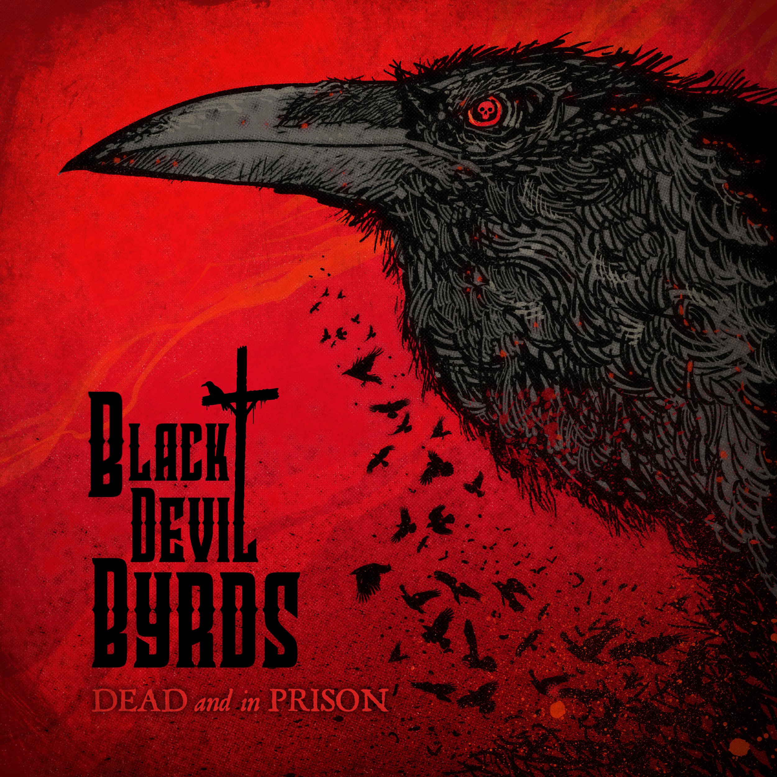 BDB Album Cover.jpg