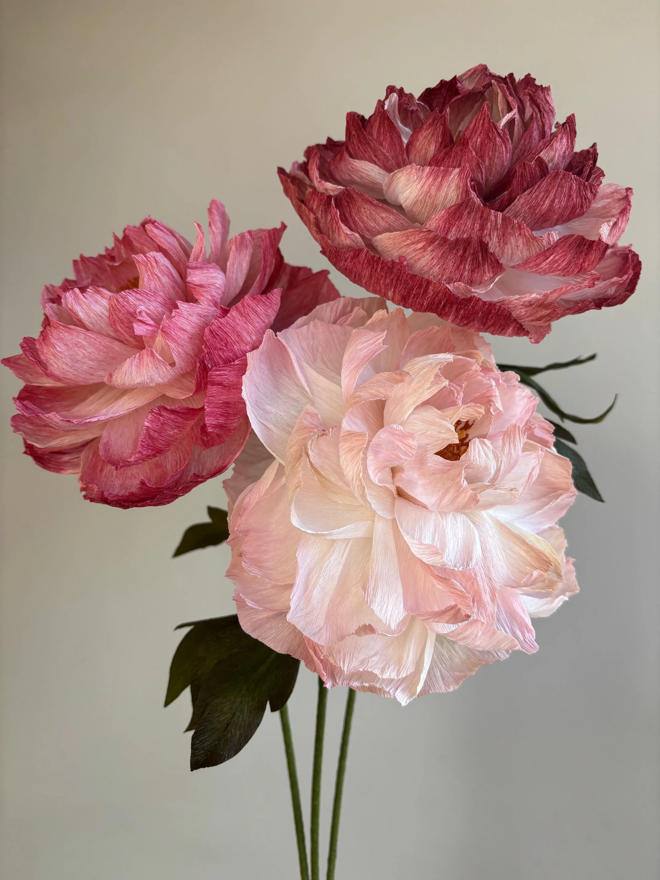 Three large, detailed pink and red paper peony flowers with green leaves on slender stems against a plain background.