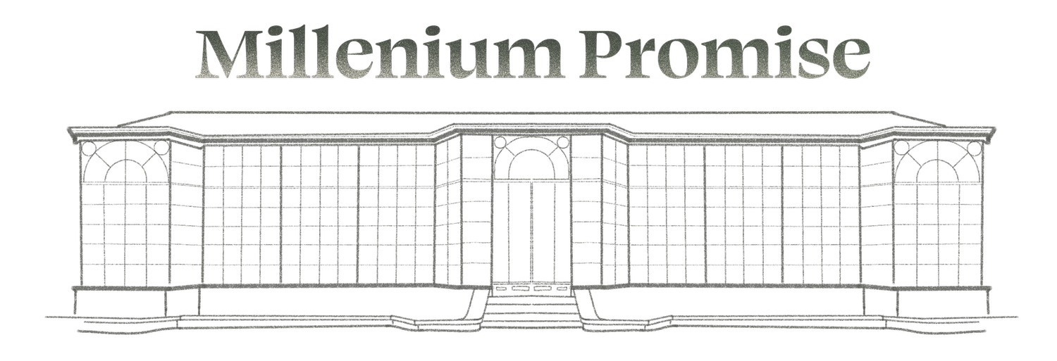 Millennium Promise 