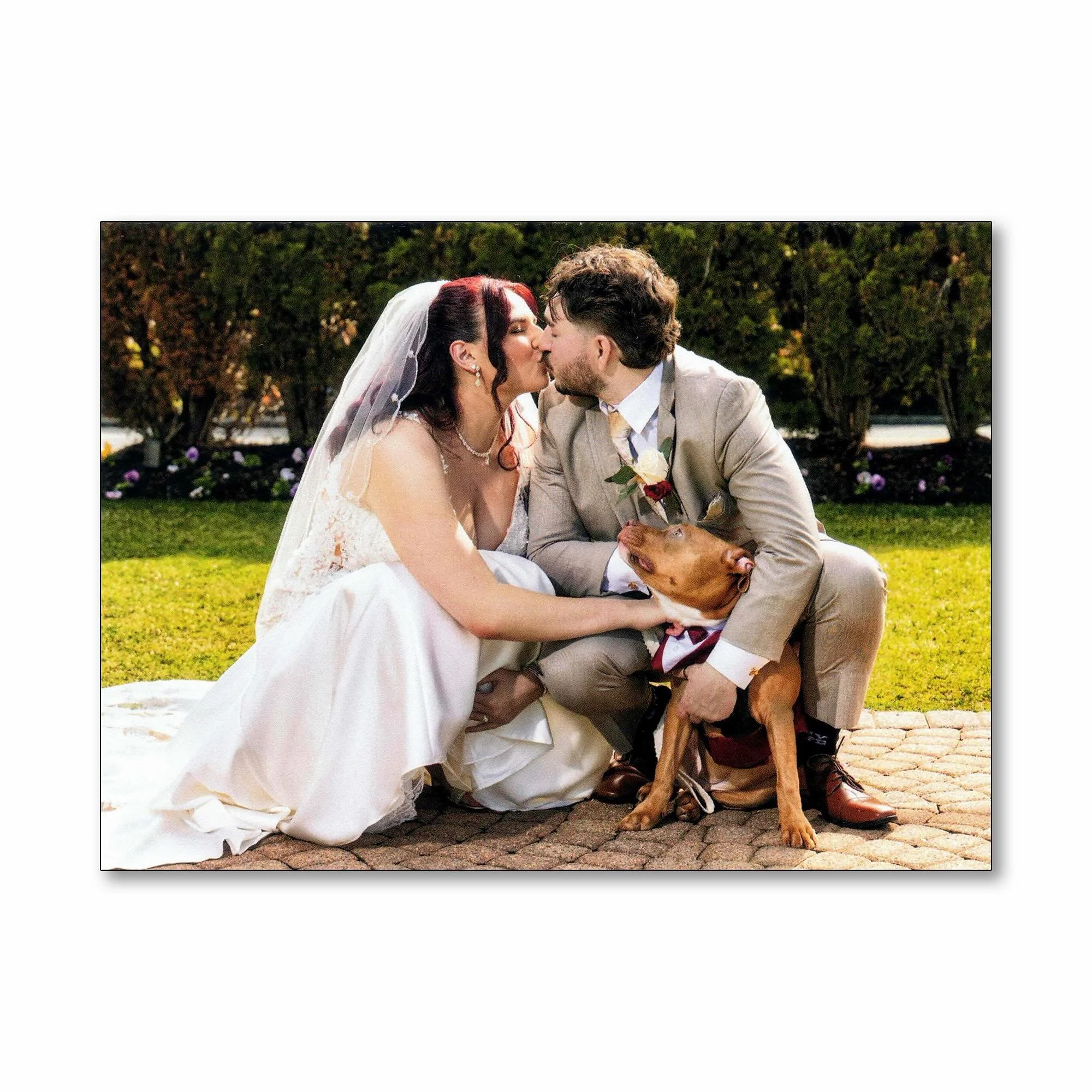 Lexi, Gerard, and Luffy: what a treat it was to work with your family!