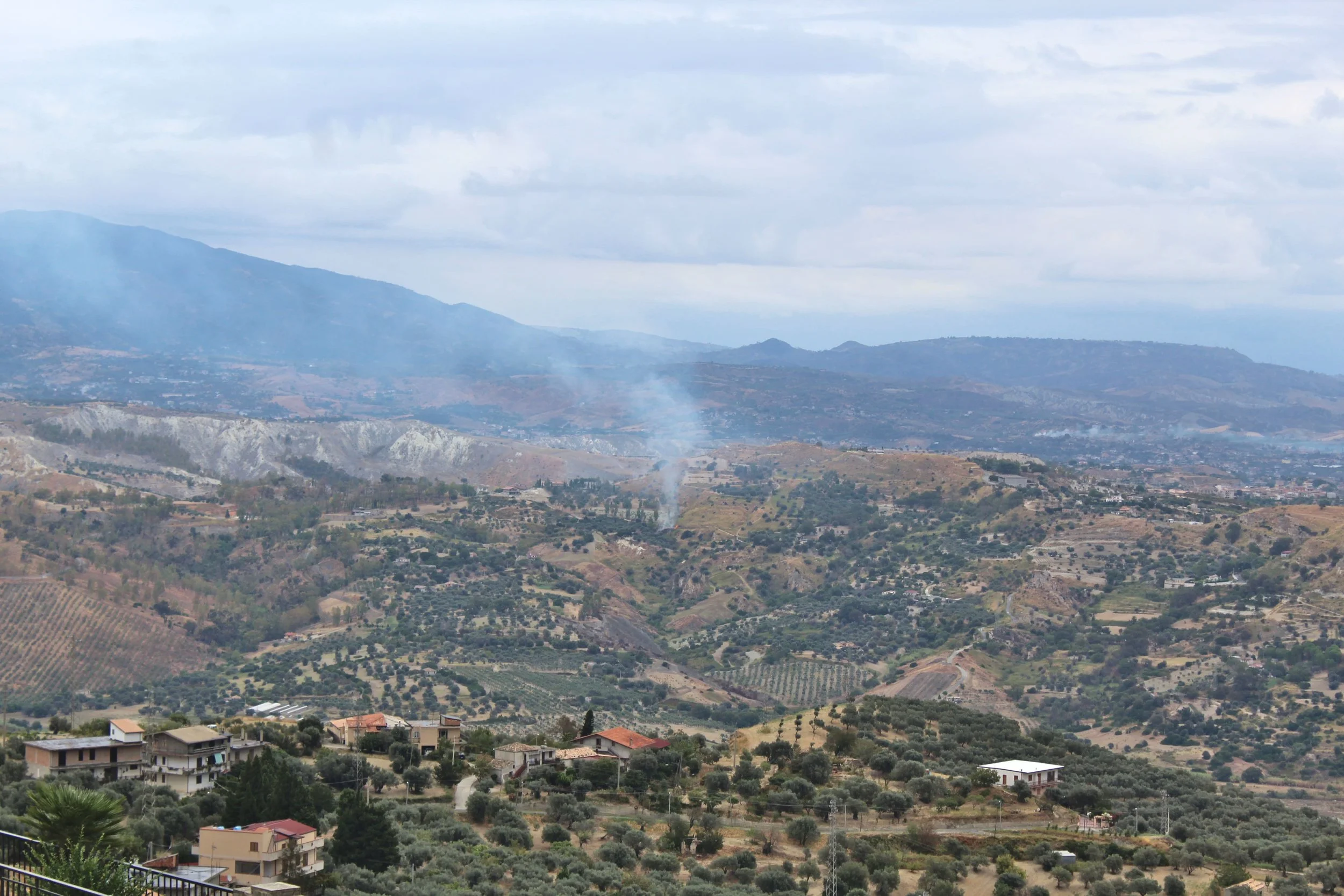 4.20 - RACCOLTA PIGMENTI ASPROMONTE.jpg