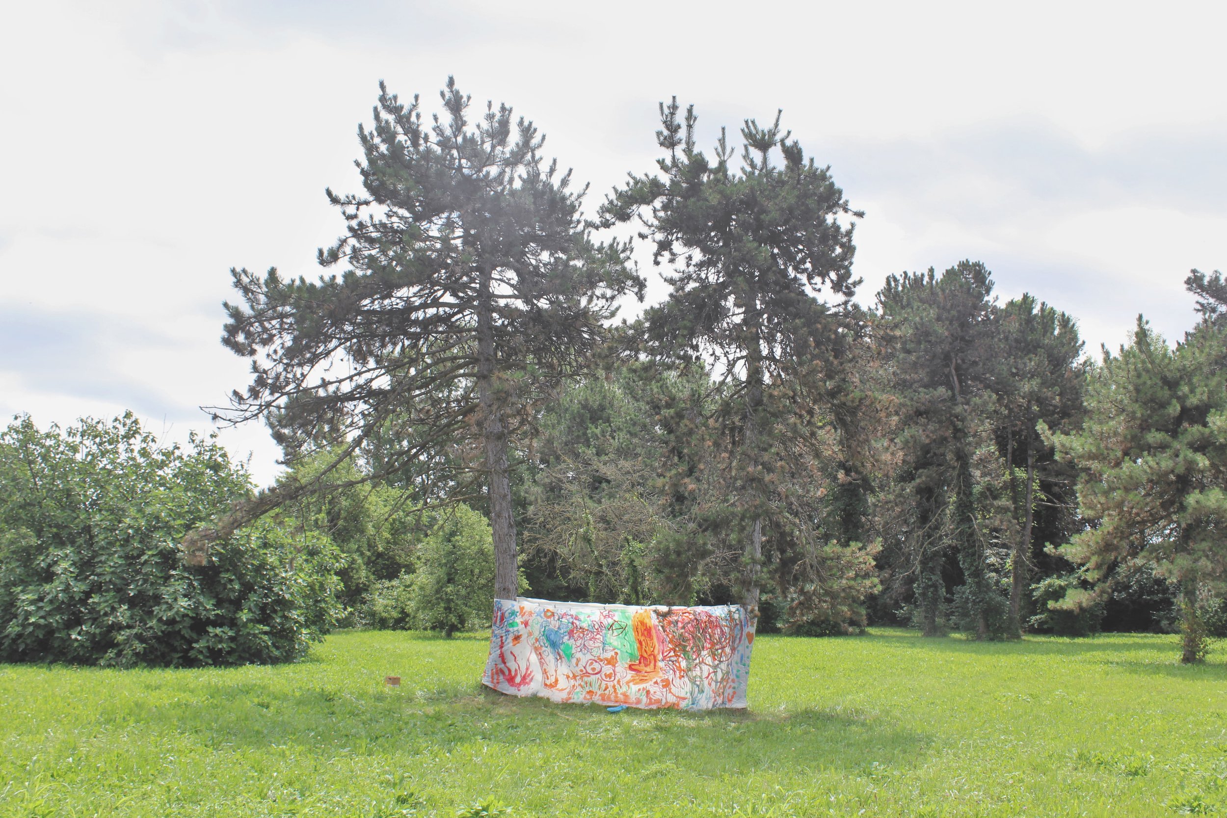 8.1 (laghetto).jpg