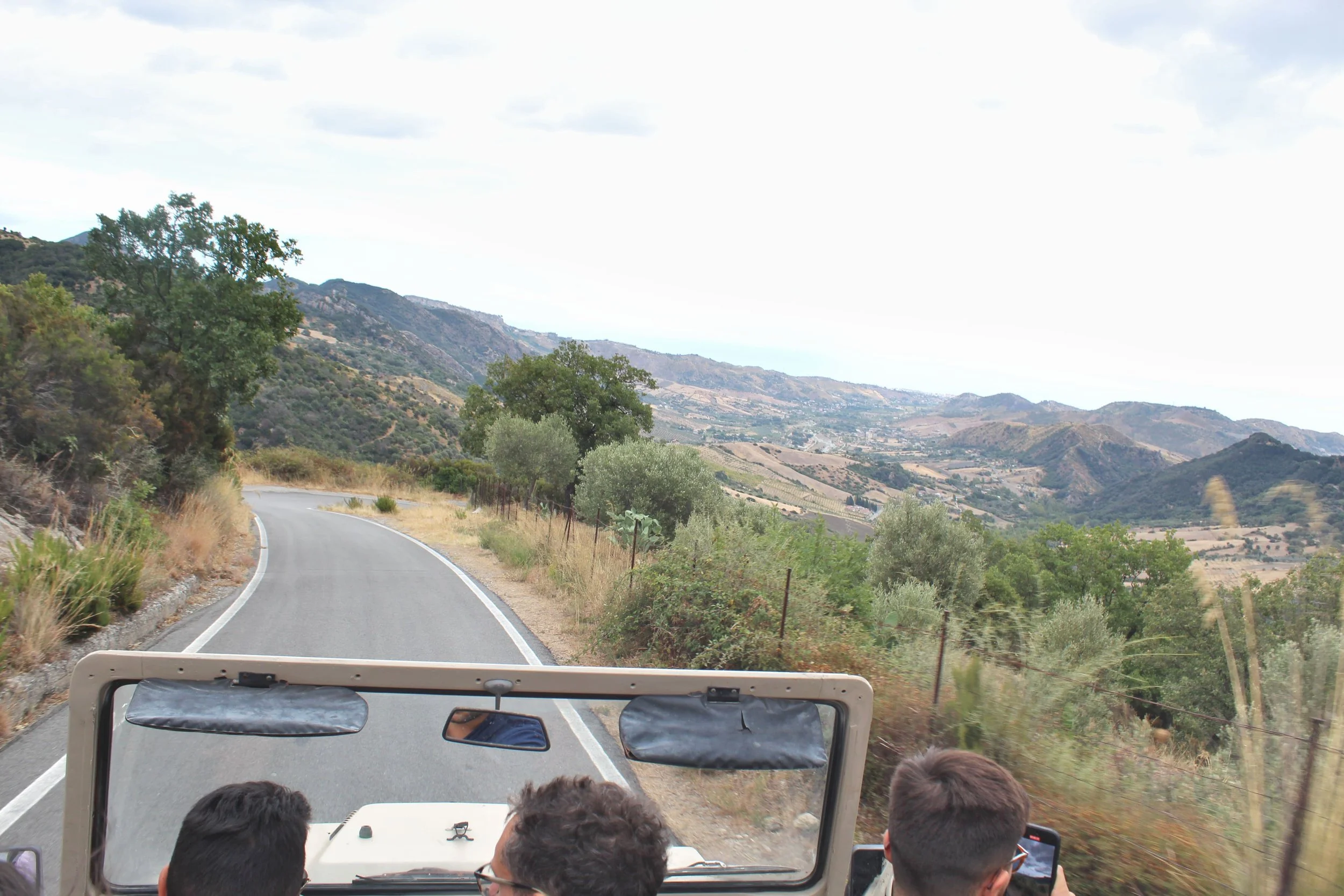 4.6 - RACCOLTA PIGMENTI ASPROMONTE.jpg