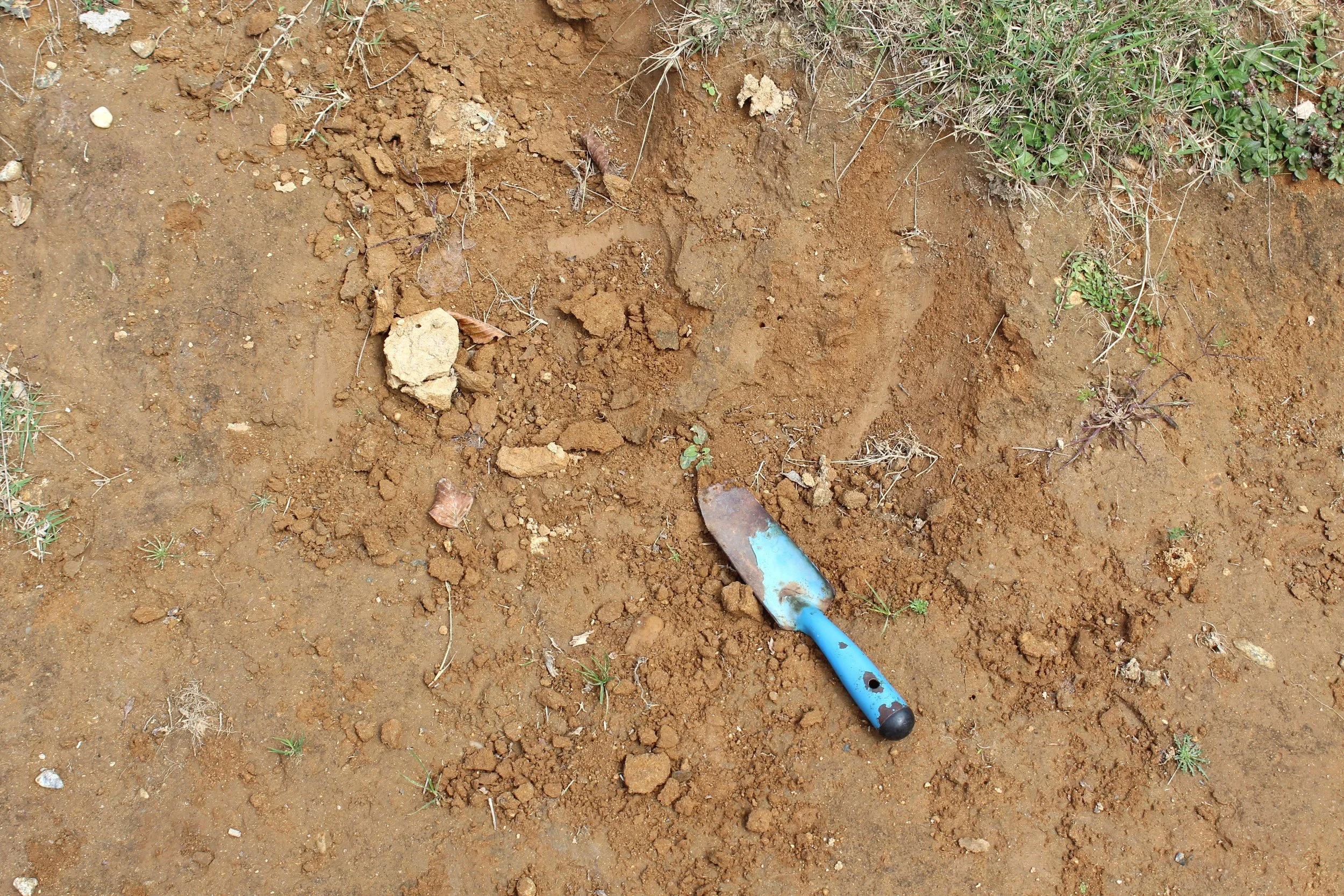 4.1 - RACCOLTA PIGMENTI ASPROMONTE.jpg