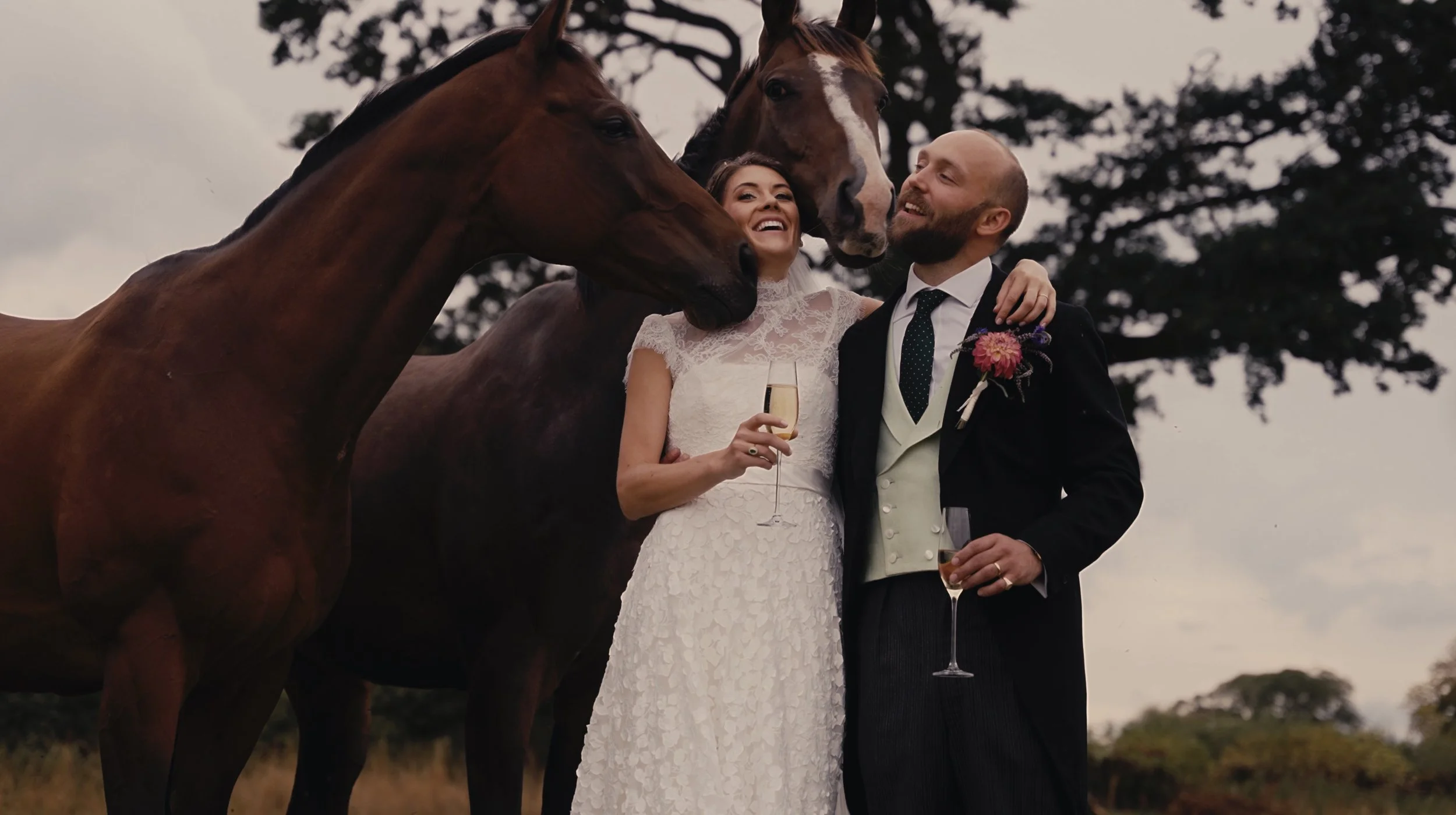Bride and groom with horses