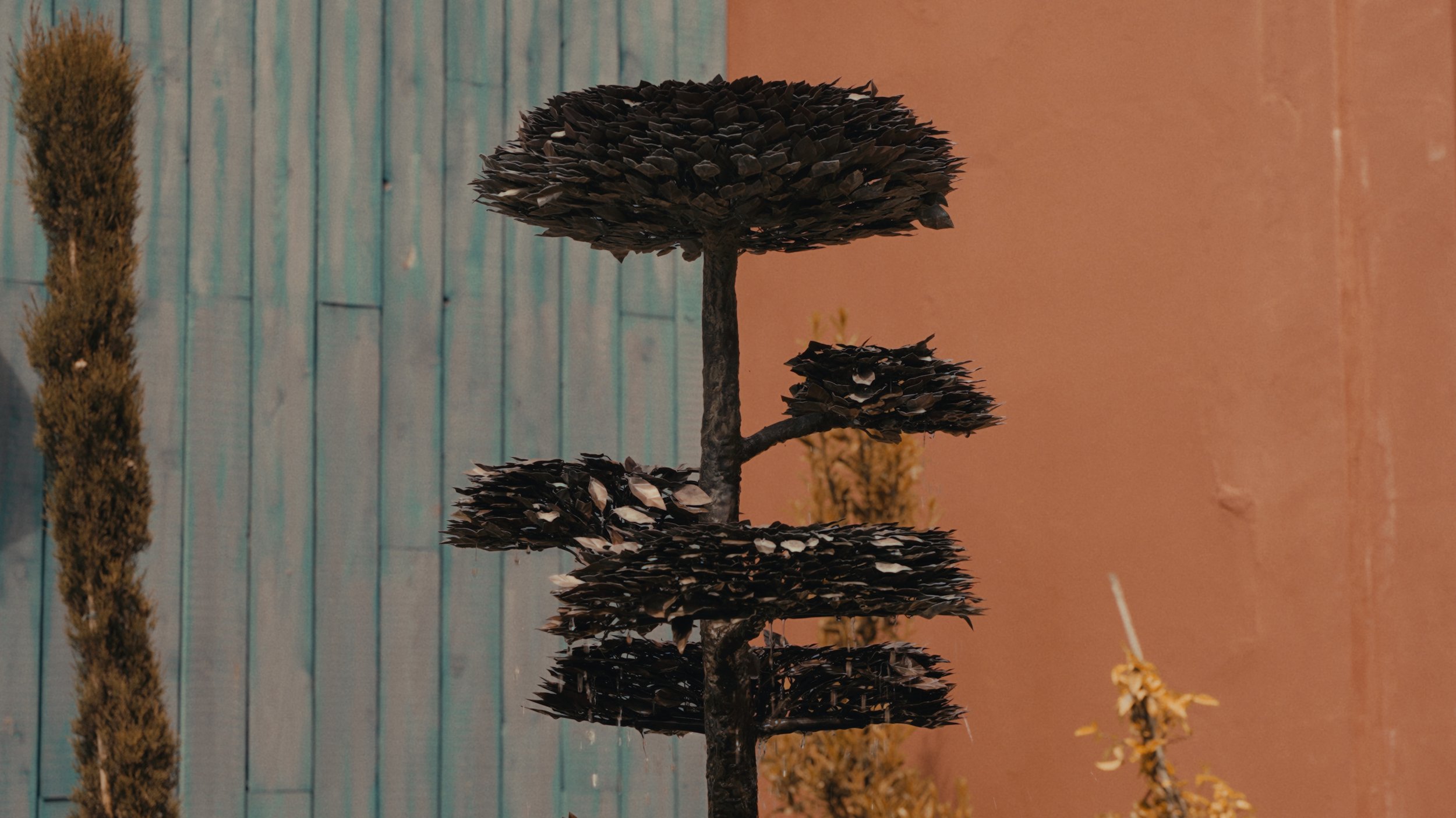 interesting tree