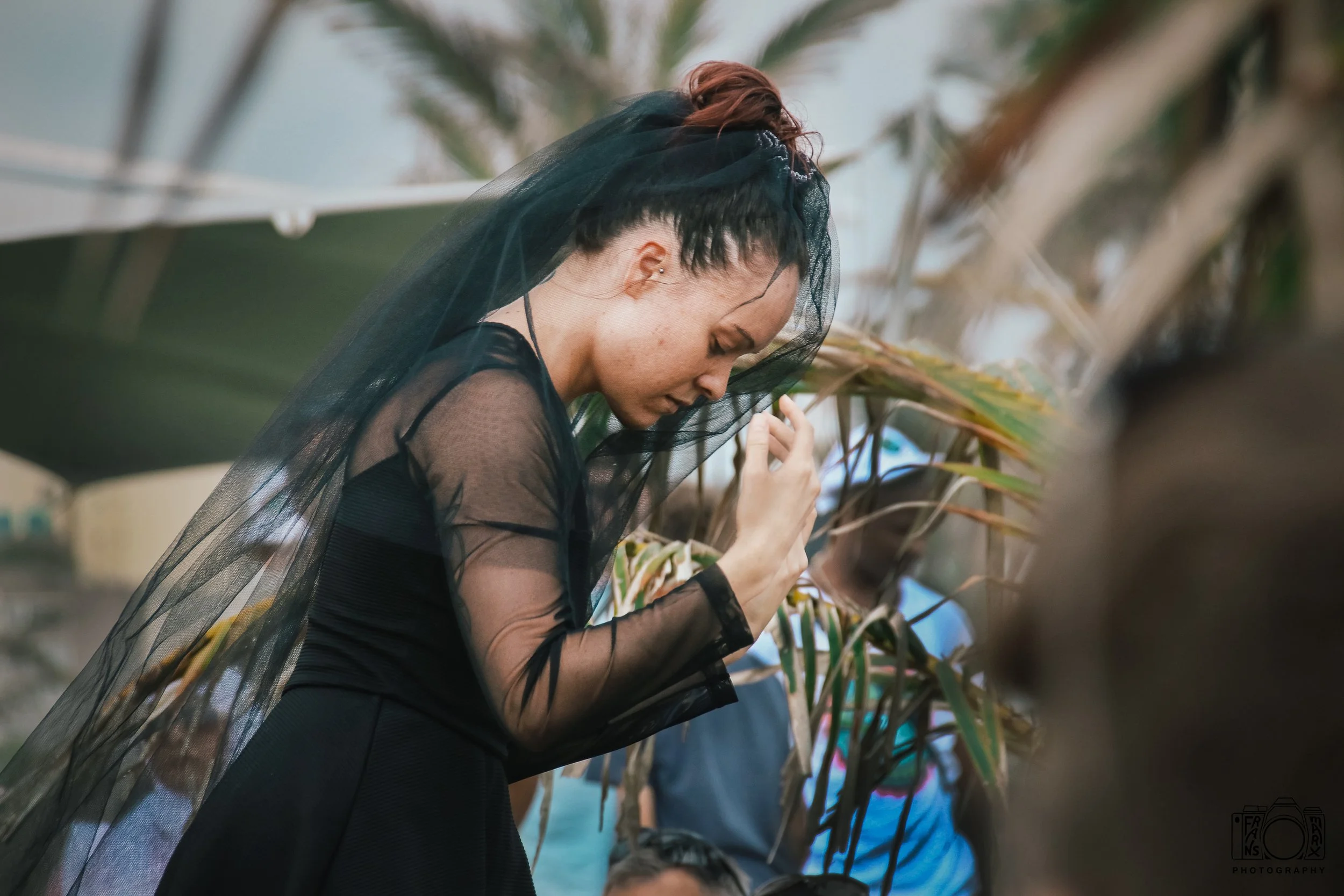 oat 4_resized_250126.jpg