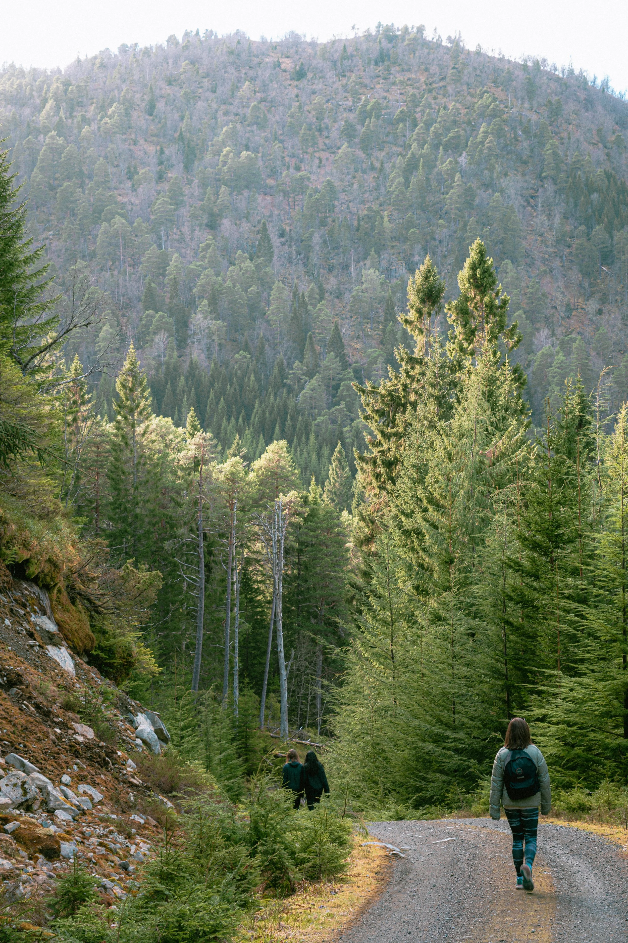 KCA02128.jpg