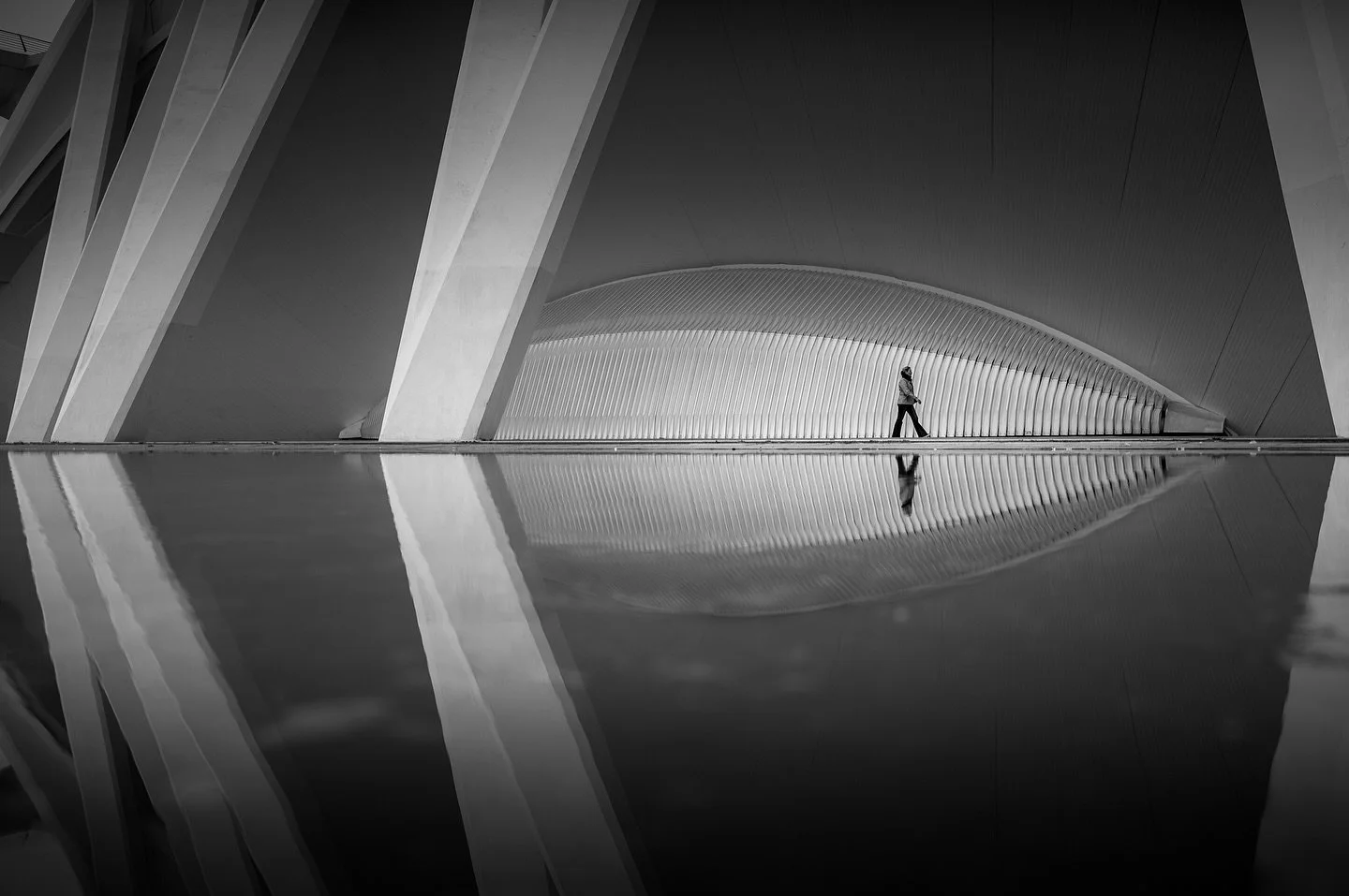 Valencia - Ciudad de las Artes y las Ciences. 
&mdash;&mdash;&mdash;&mdash;&mdash;&mdash;&mdash;&mdash;&mdash;&mdash;&mdash;&mdash;&mdash;&mdash;&mdash;&mdash;&mdash;&mdash;&mdash;&mdash;&mdash;&mdash;&mdash;-
#blackandwhite 
#fineartphotography 
#ar