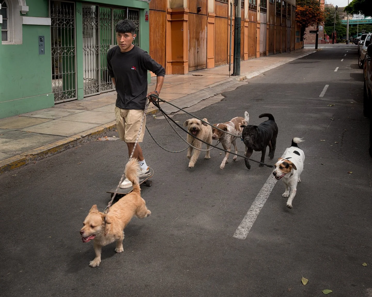 Streets of Barranco
&mdash;&mdash;&mdash;&mdash;&mdash;&mdash;&mdash;&mdash;&mdash;&mdash;&mdash;&mdash;&mdash;&mdash;&mdash;&mdash;&mdash;&mdash;&mdash;&mdash;&mdash;&mdash;
#streetphotographyperu #barrancocolors #rsa_streetview #file_photographic_m