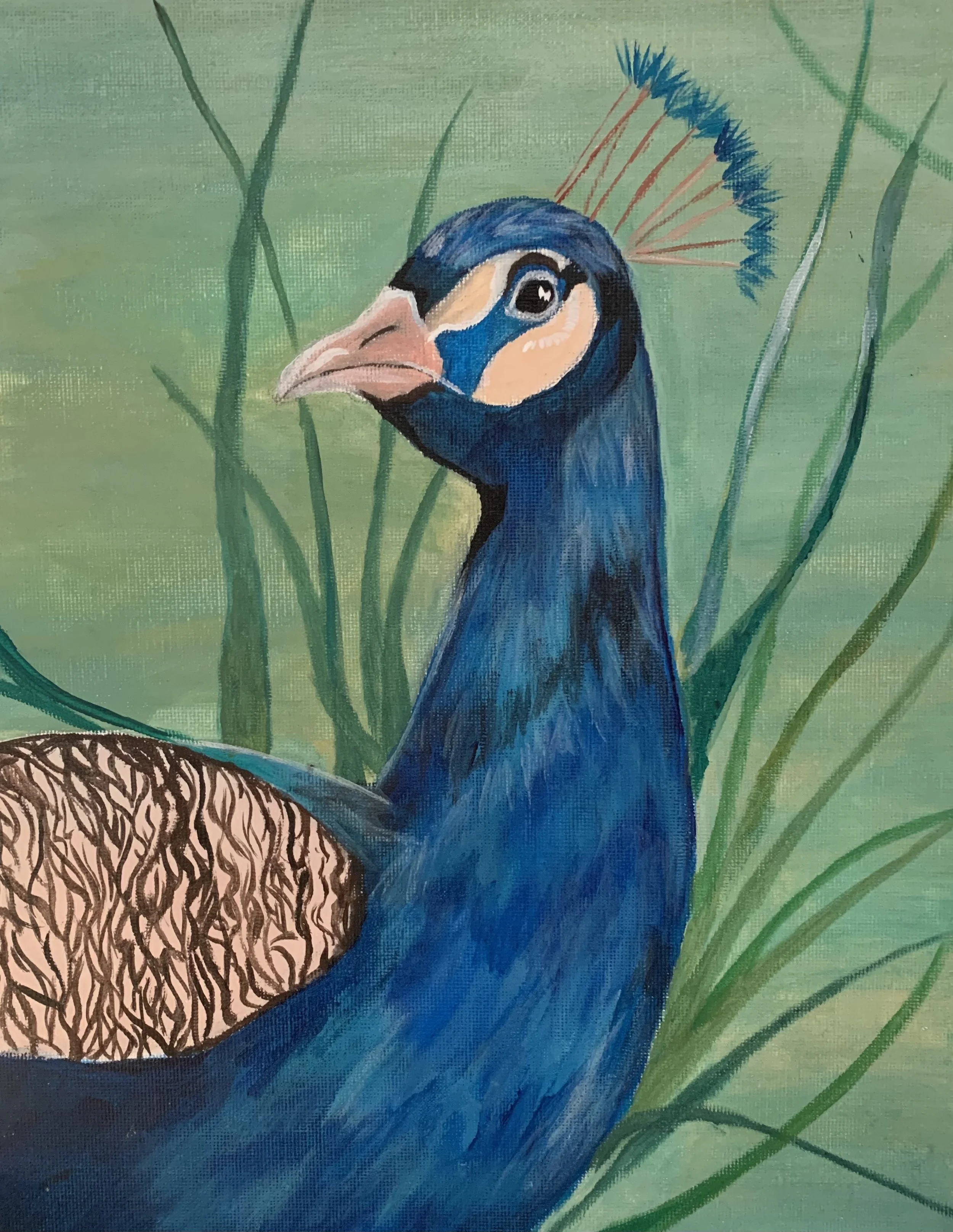 Thursdays Paint & Wine, Painting a pretty Peacock.