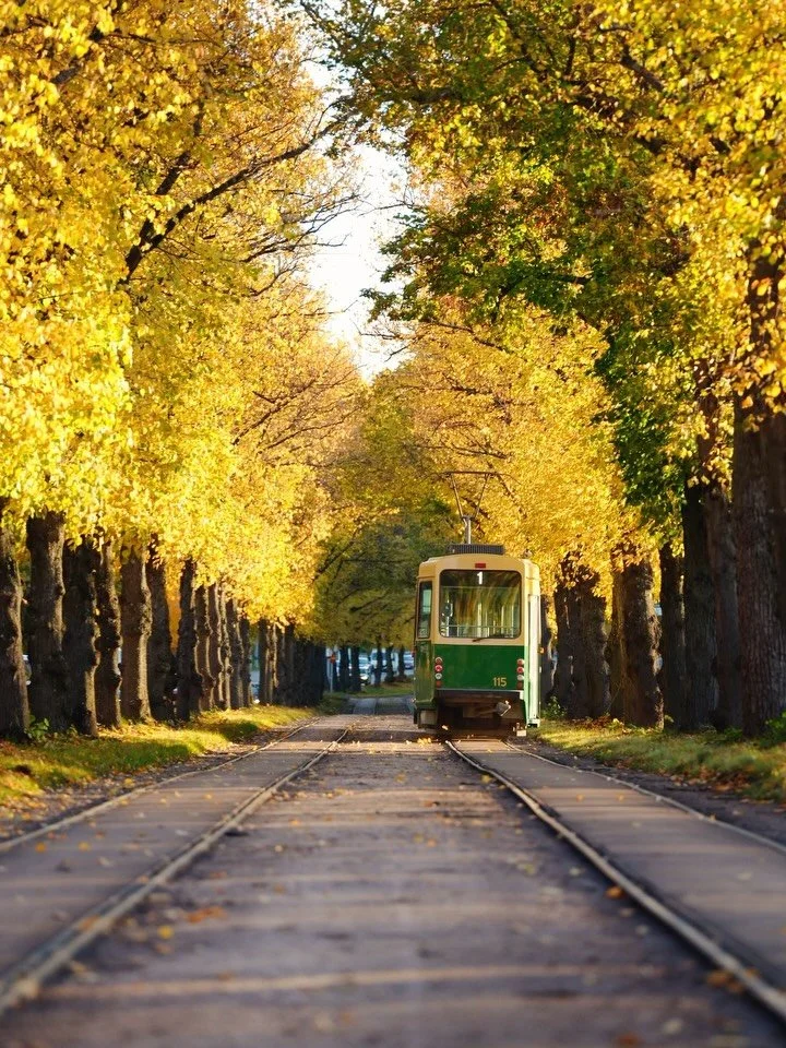 Moments from Helsinki that caught my eye ✨🍂

📸 Shot with Sony A7IV + @sigma.nordic 24-70 mm F 2.8 DG DN II

#helsinki #helsinkistreets #asmr #soundsofhelsinki #autumn