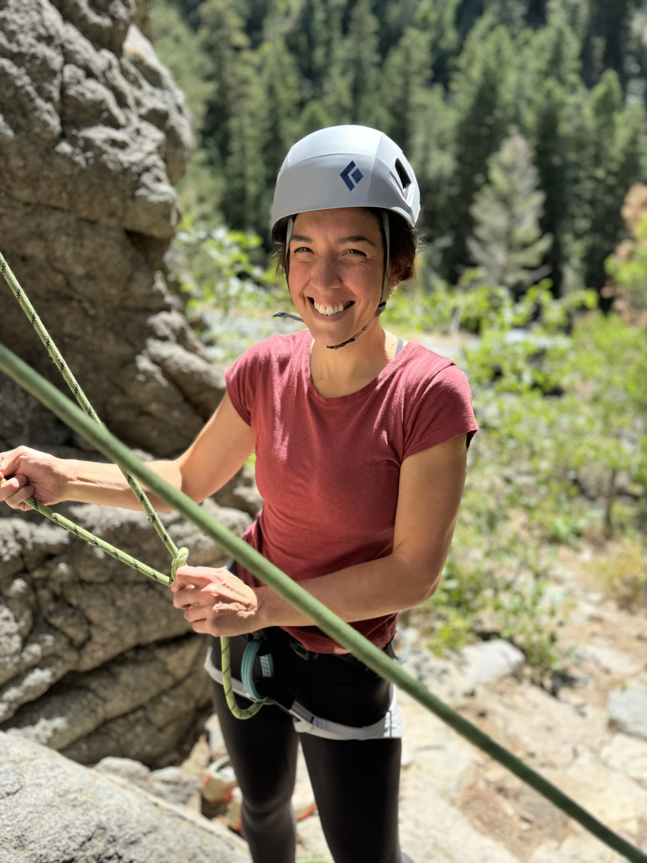 Alpine Day (at discounted rate)