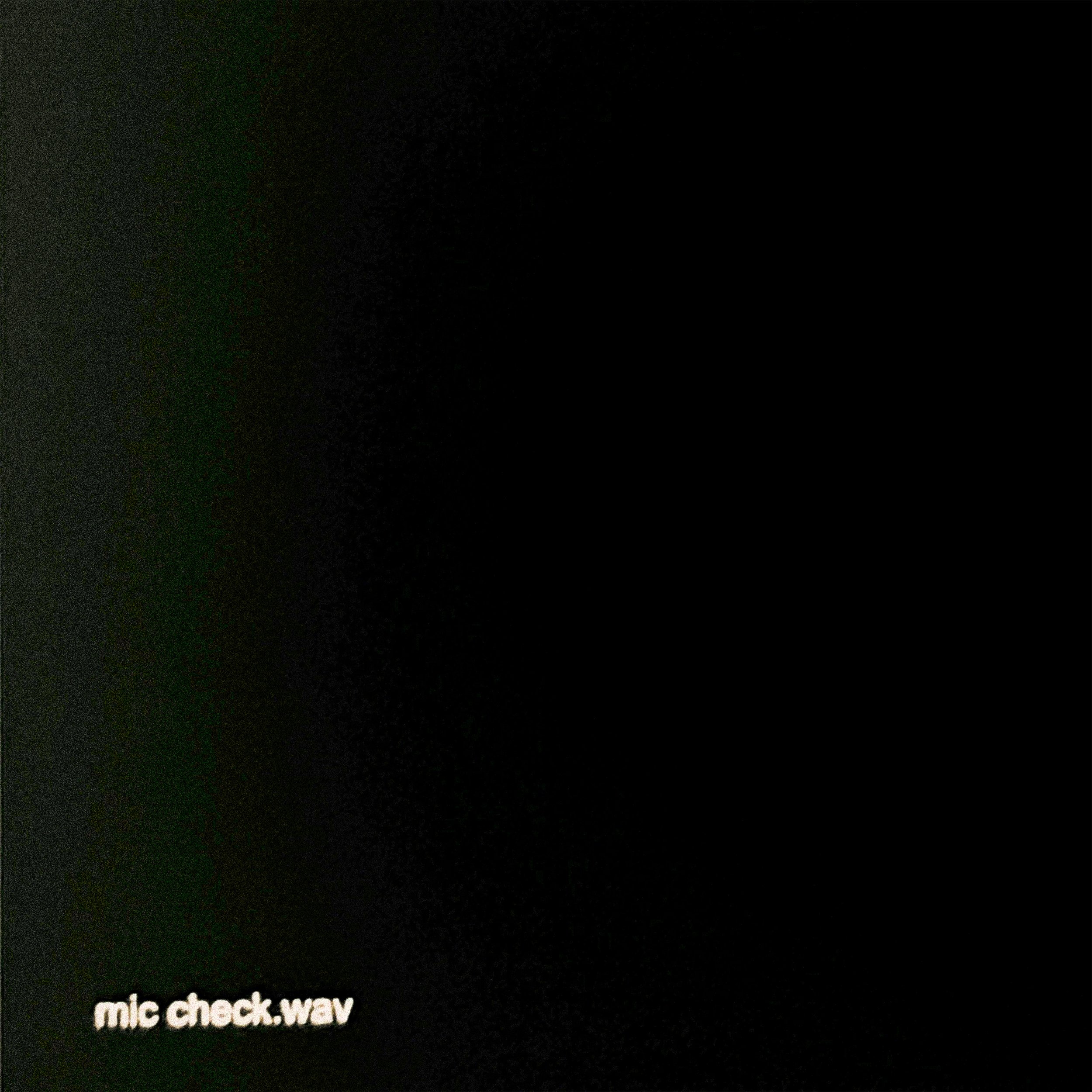 mic check