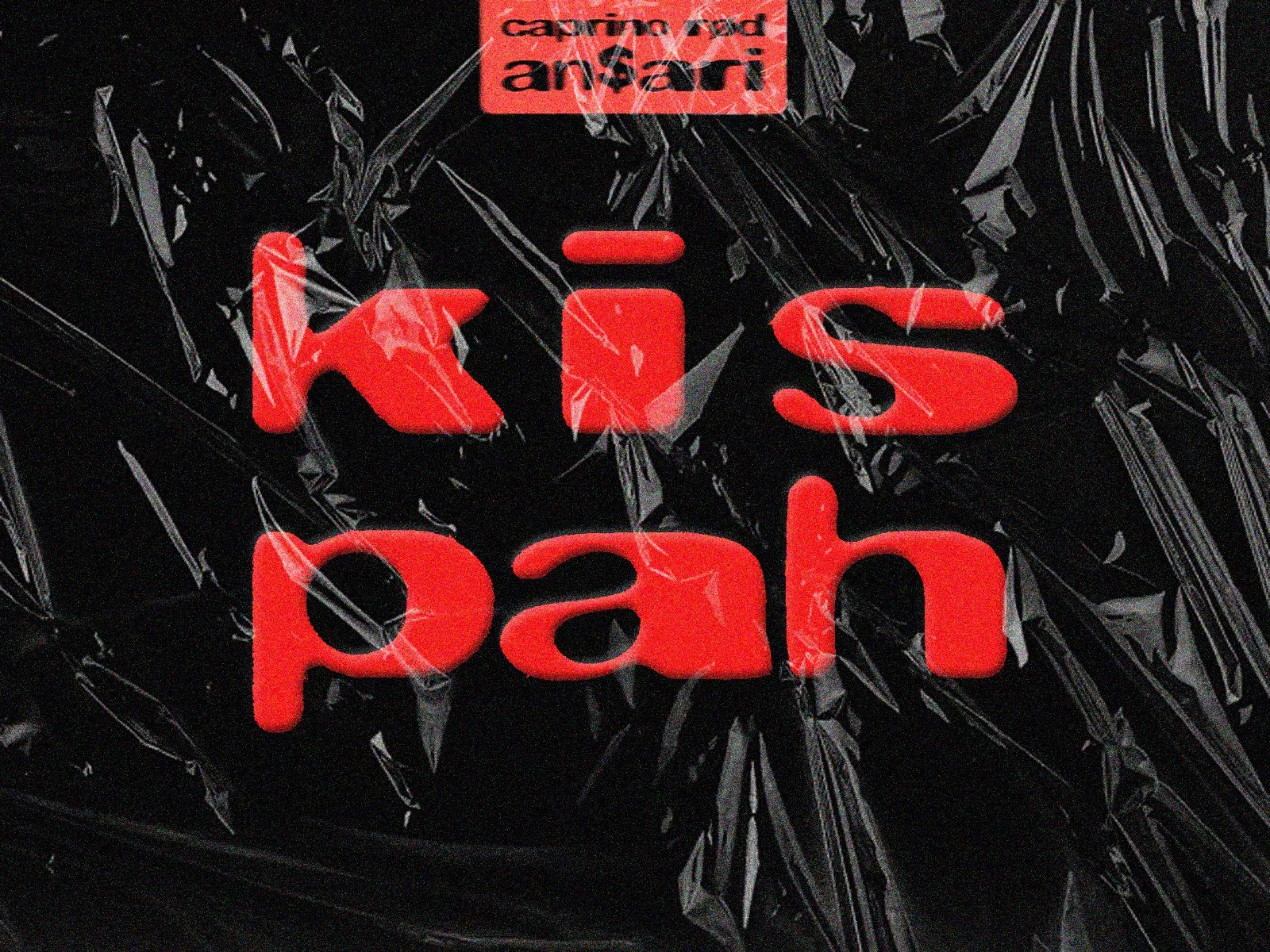 AN$ARI &amp; Caprino Rød @ Kispah