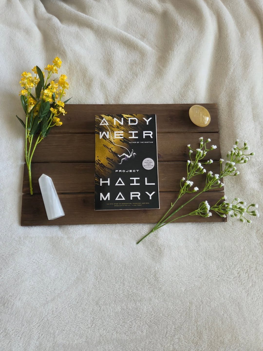 ✨️ Project Hail Mary ✨️

Is shaking everything up for me. The movie was SO GOOD! Its probably by far my favorite this year. I hadn't had the time to read the book before seeing the film but still was told to read the book because each experience is d