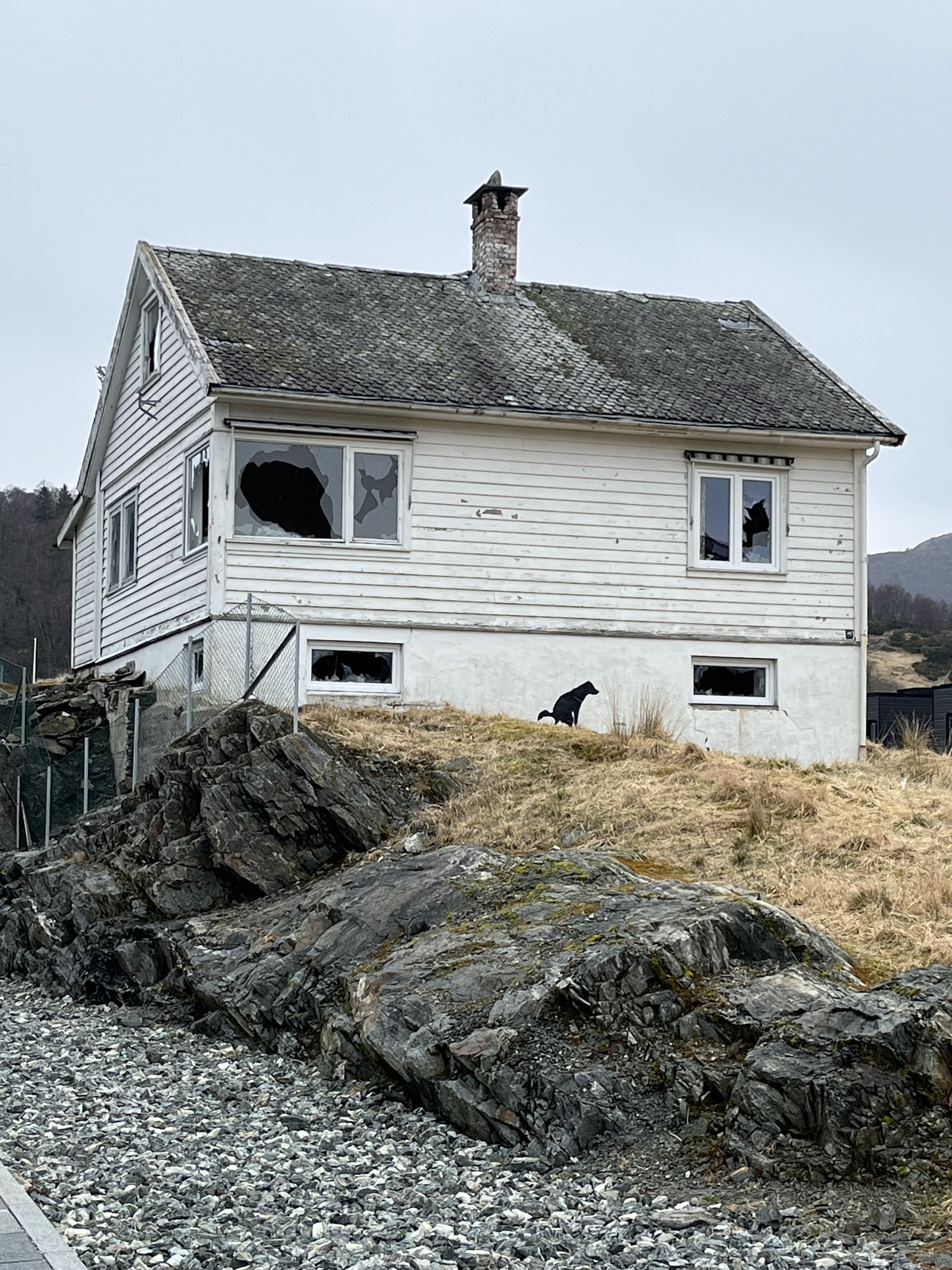 canevil+street+art+painting+dog+vandal+poop+spraypaint+house+abandoned
