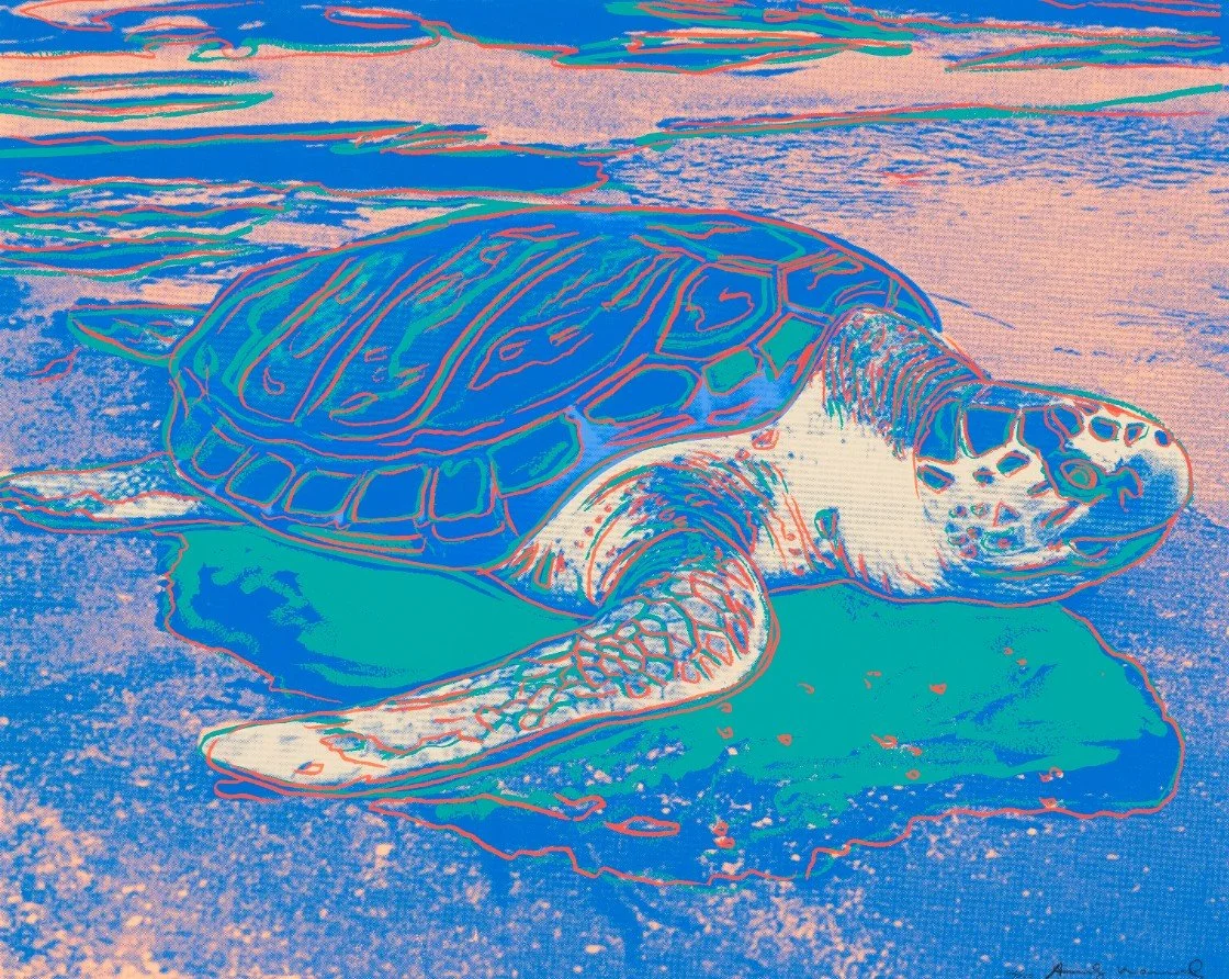 WArhol turtule.jpg