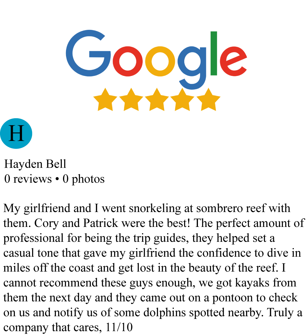 PiP Review Today.png