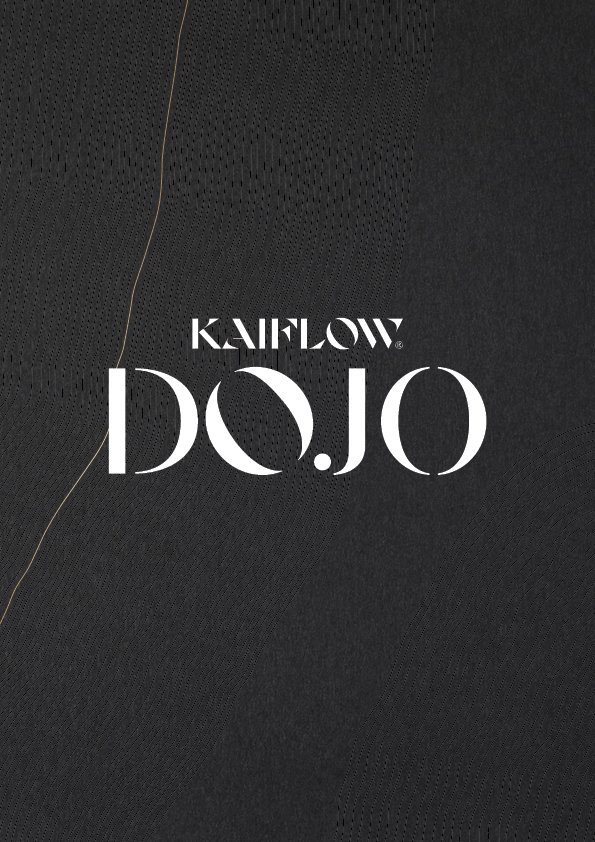 Dojo Experience