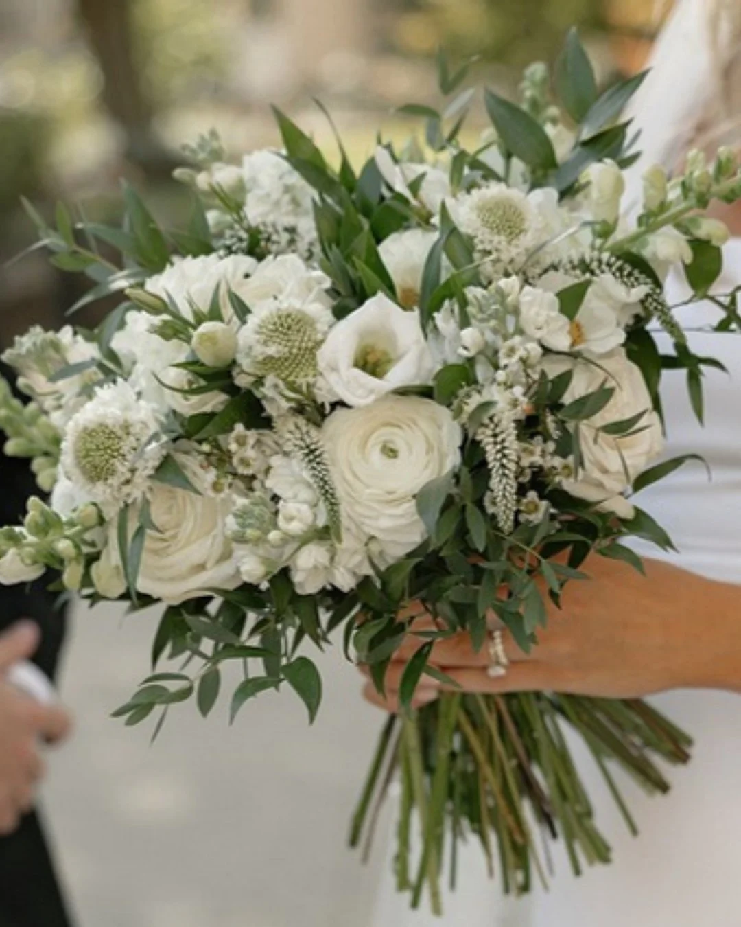 The 2026 Pantone color of the year is...white? It's classic, polished, and never going away. Here's how we're approaching Cloud Dancer this year:

🤍 Embrace it - elevate the classic hue with layers of texture and eye-catching patterns.

🤍 Protest i