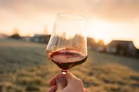 Wine Tasting Zinfandel