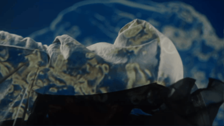 Capsule 1-7 Productions: Narrative Reel